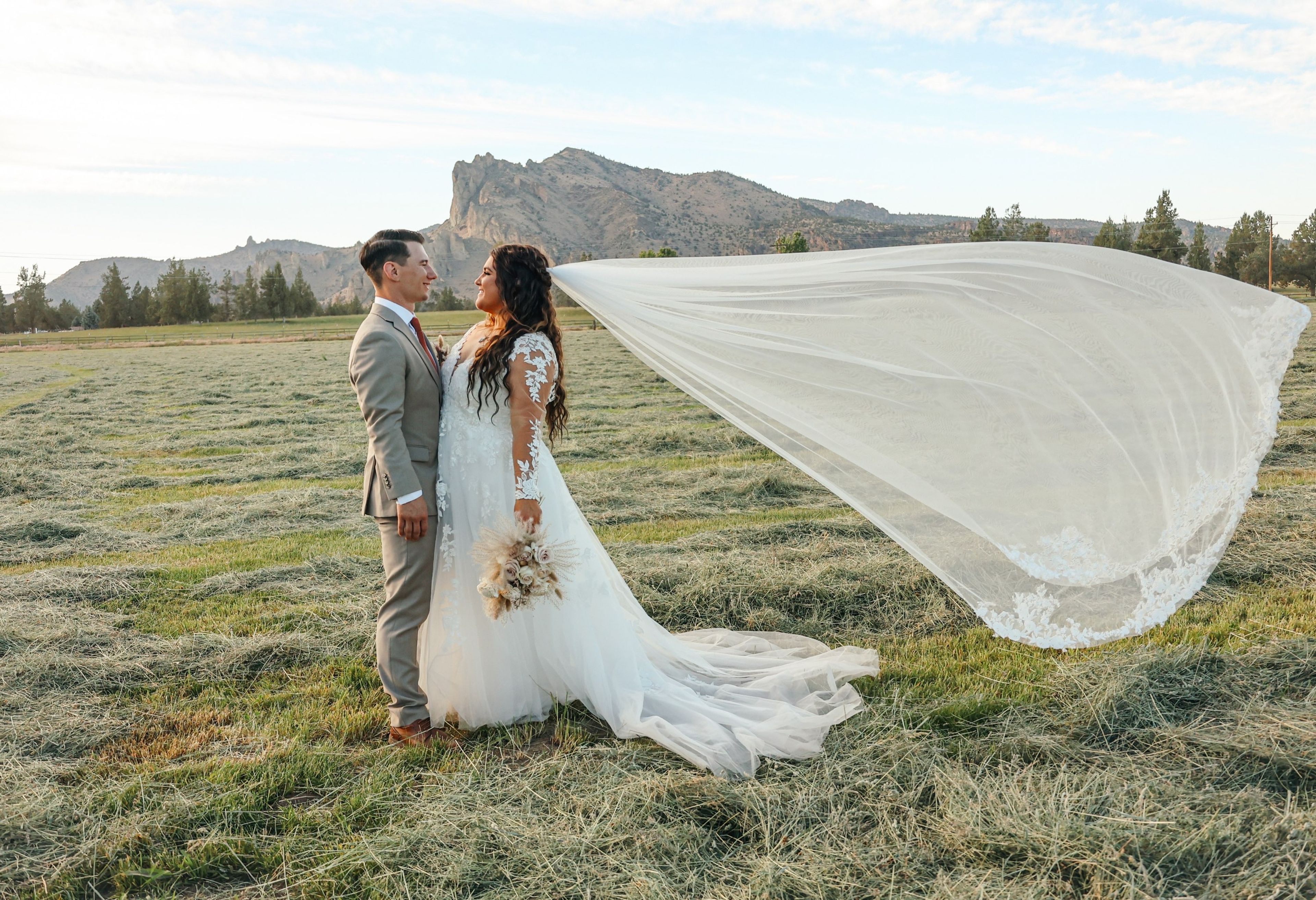Featured photo from DD Ranch