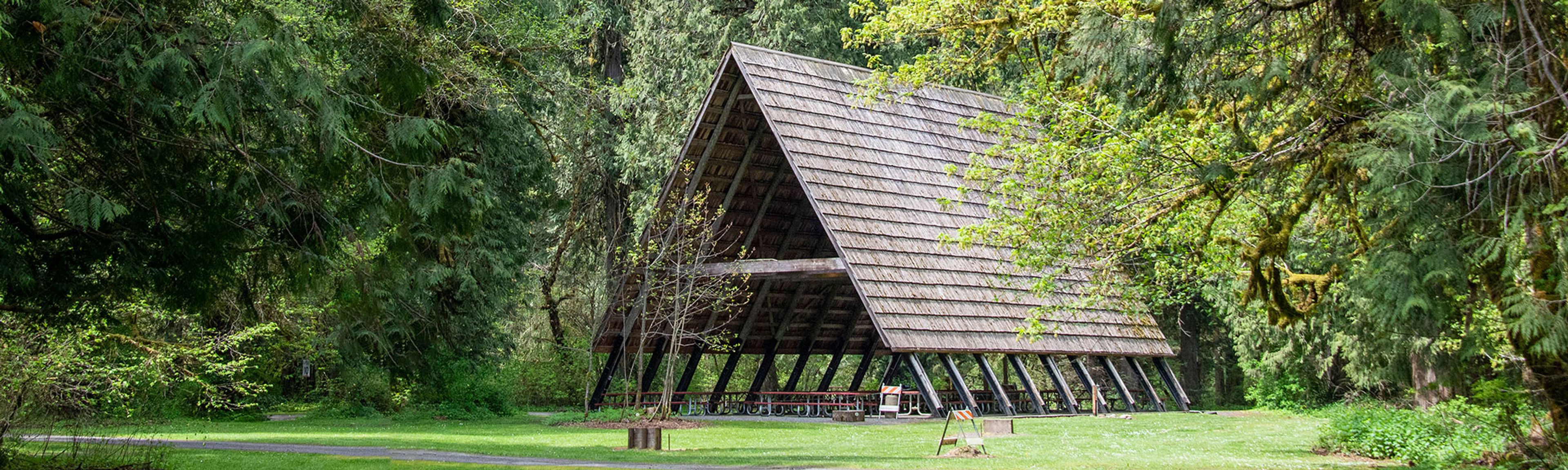 Featured photo from Eagle Fern Park