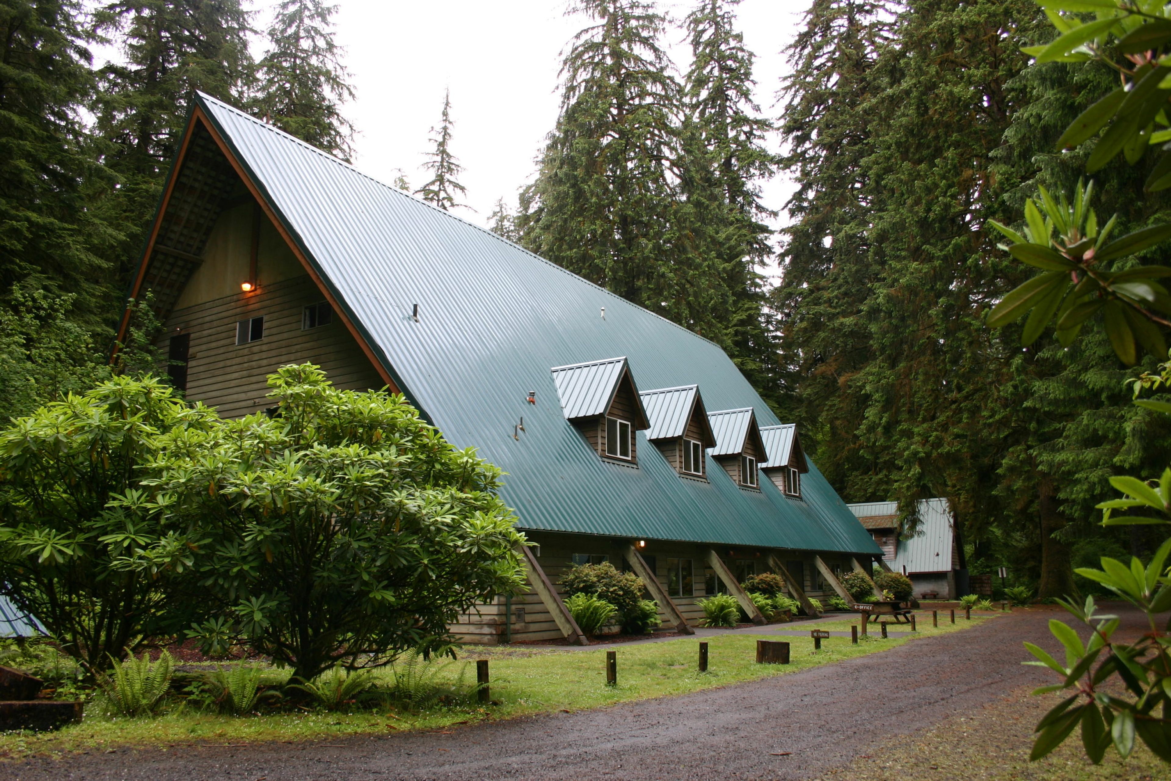 Featured photo from Drift Creek Camp