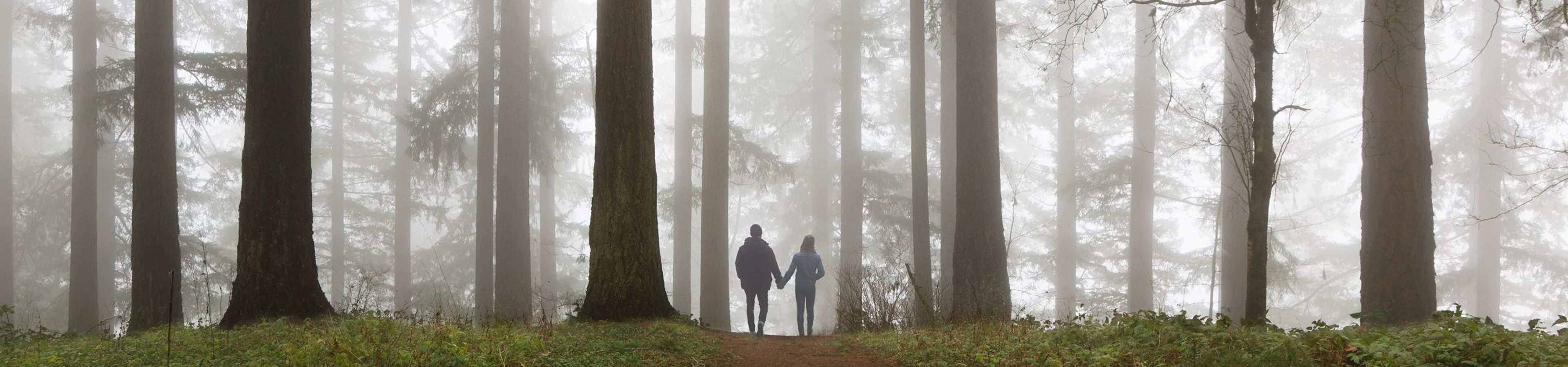 Featured photo from Hoyt Arboretum