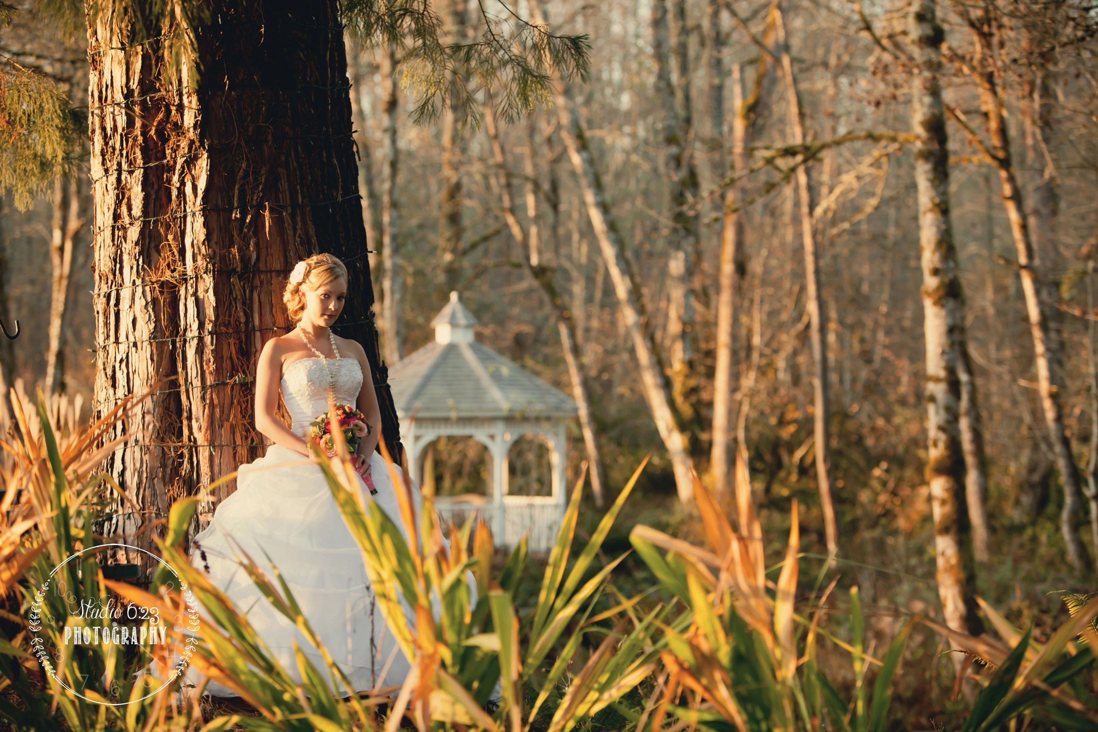 Featured photo from Knoll Crest Gardens