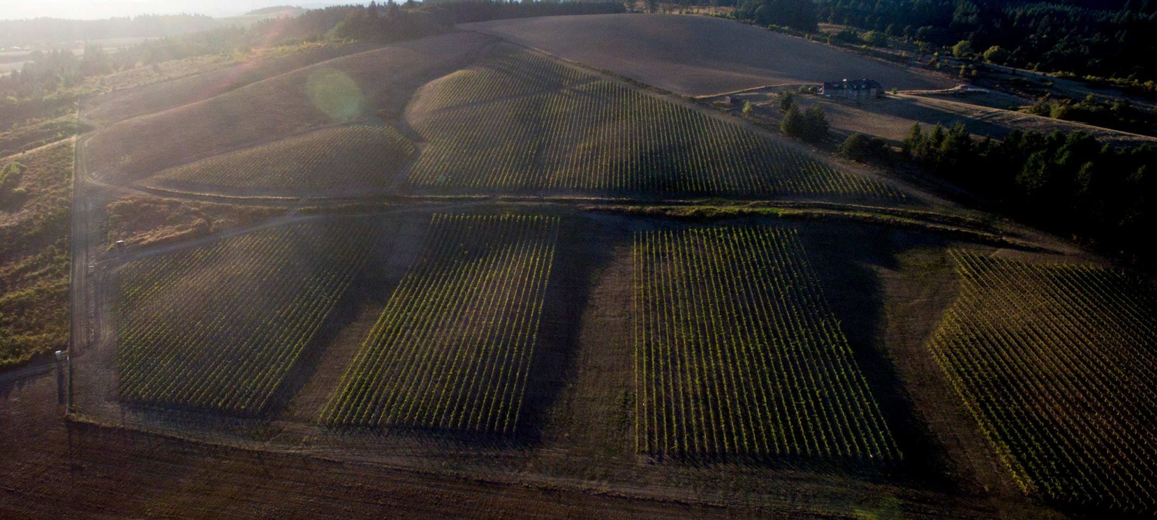 Featured photo from Laurel Ridge Winery