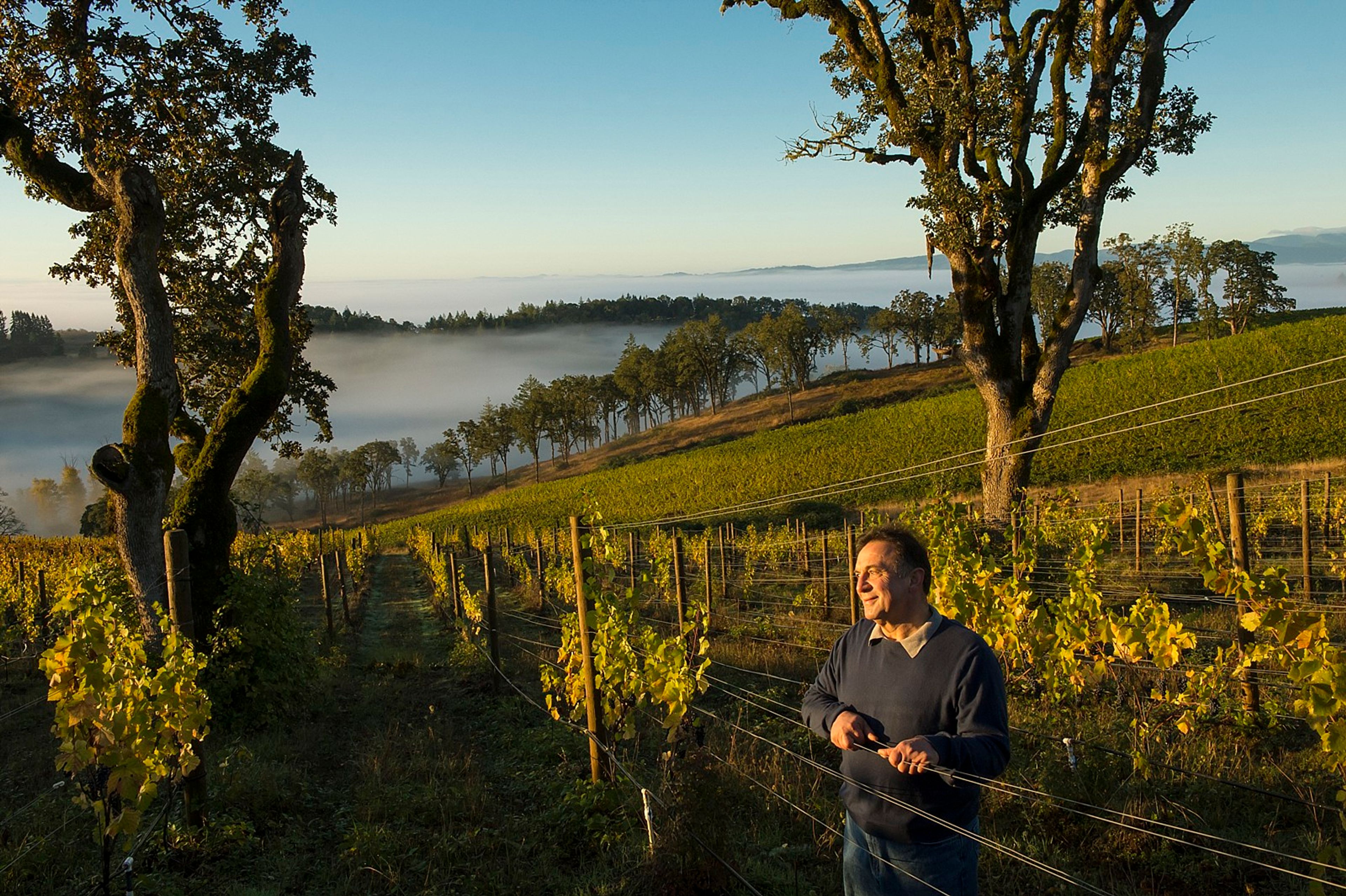 Featured photo from Maysara Winery