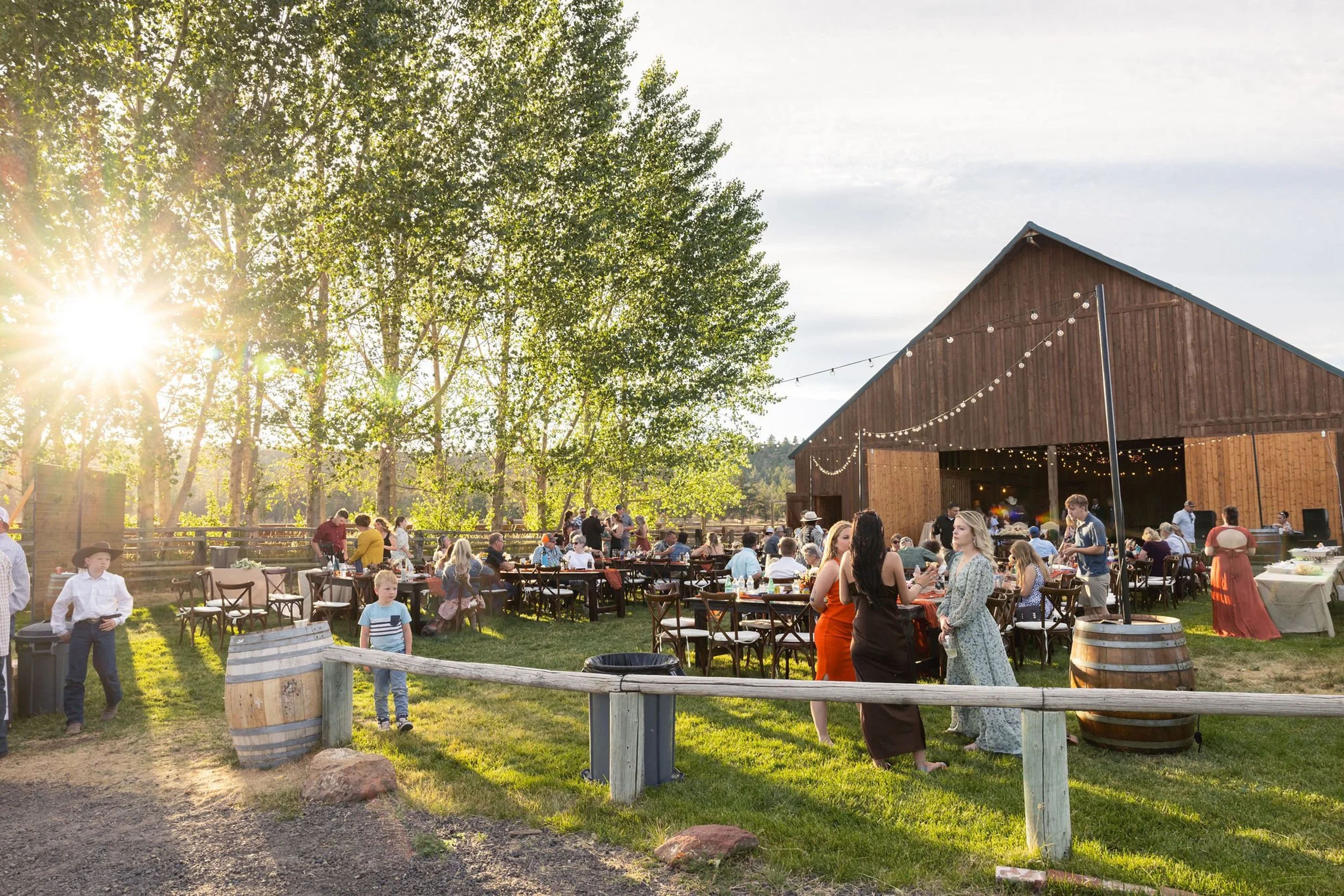 Featured photo from Long Hollow Ranch
