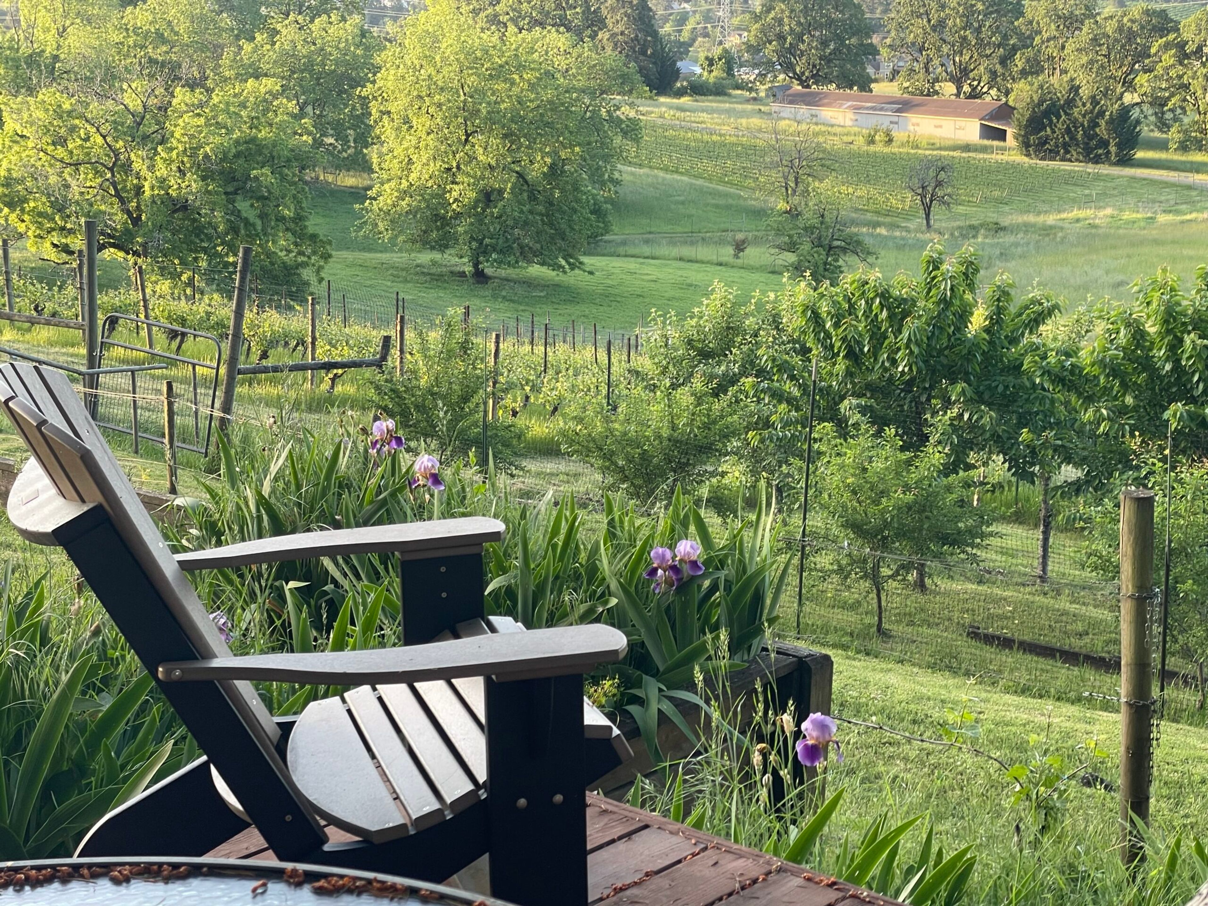 Featured photo from Natalie's Estate Winery