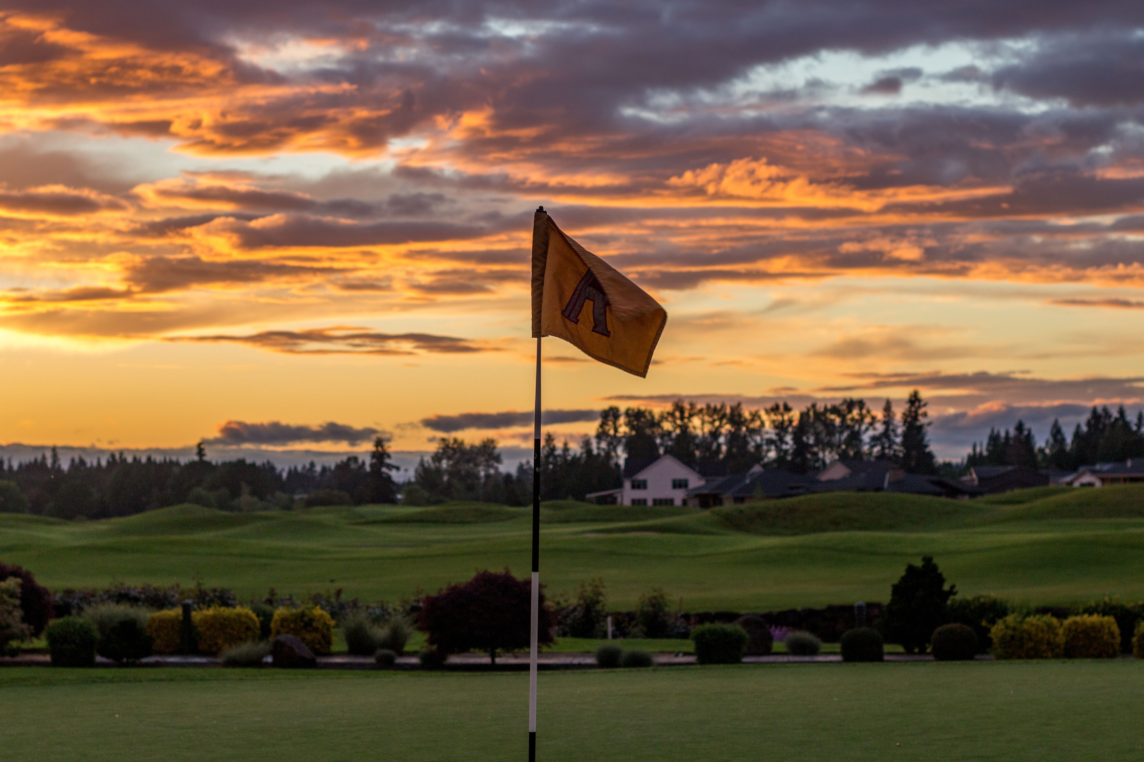 Featured photo from The Reserve Vineyards & Golf Club