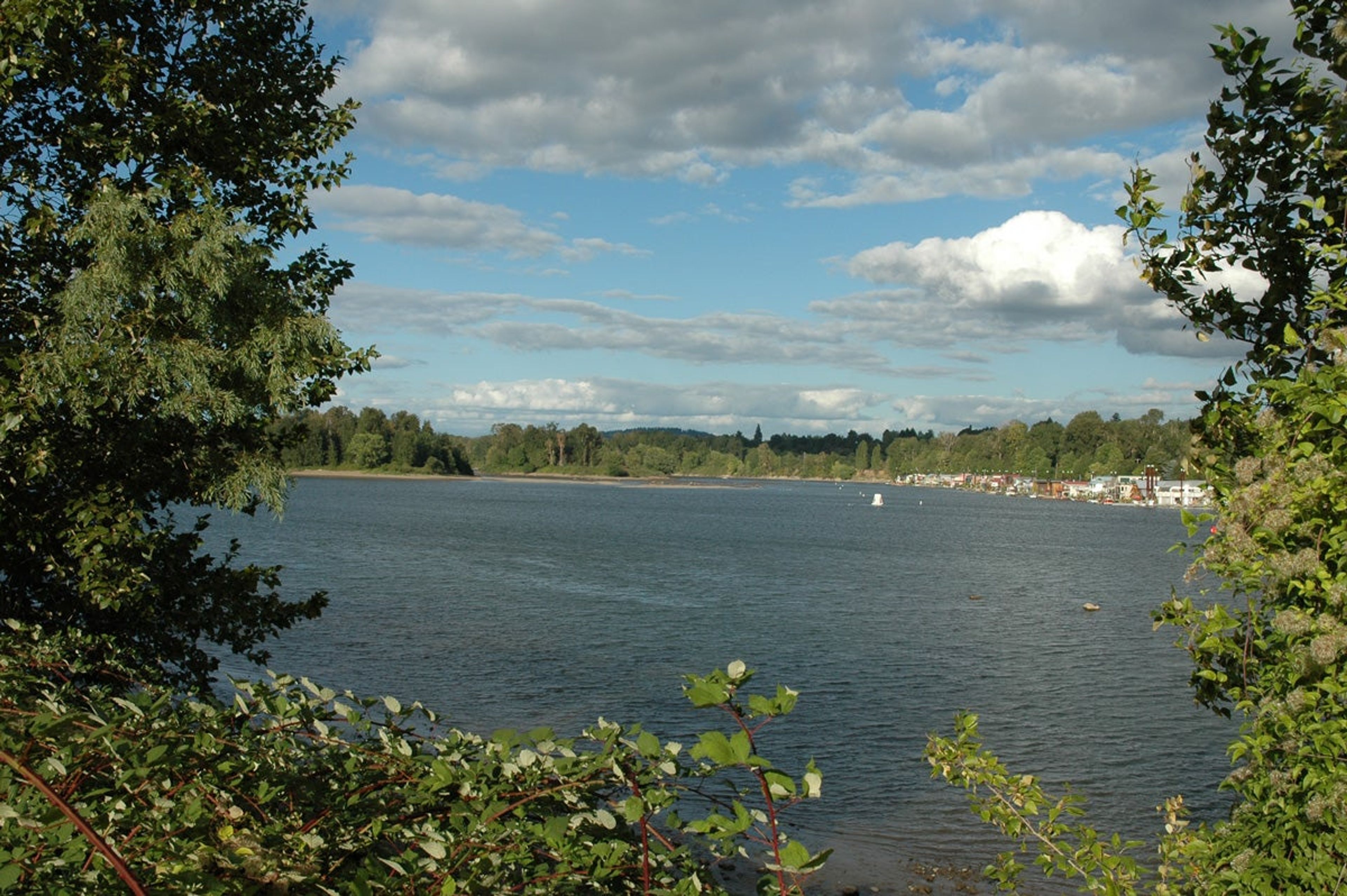 Featured photo from Willamette Park