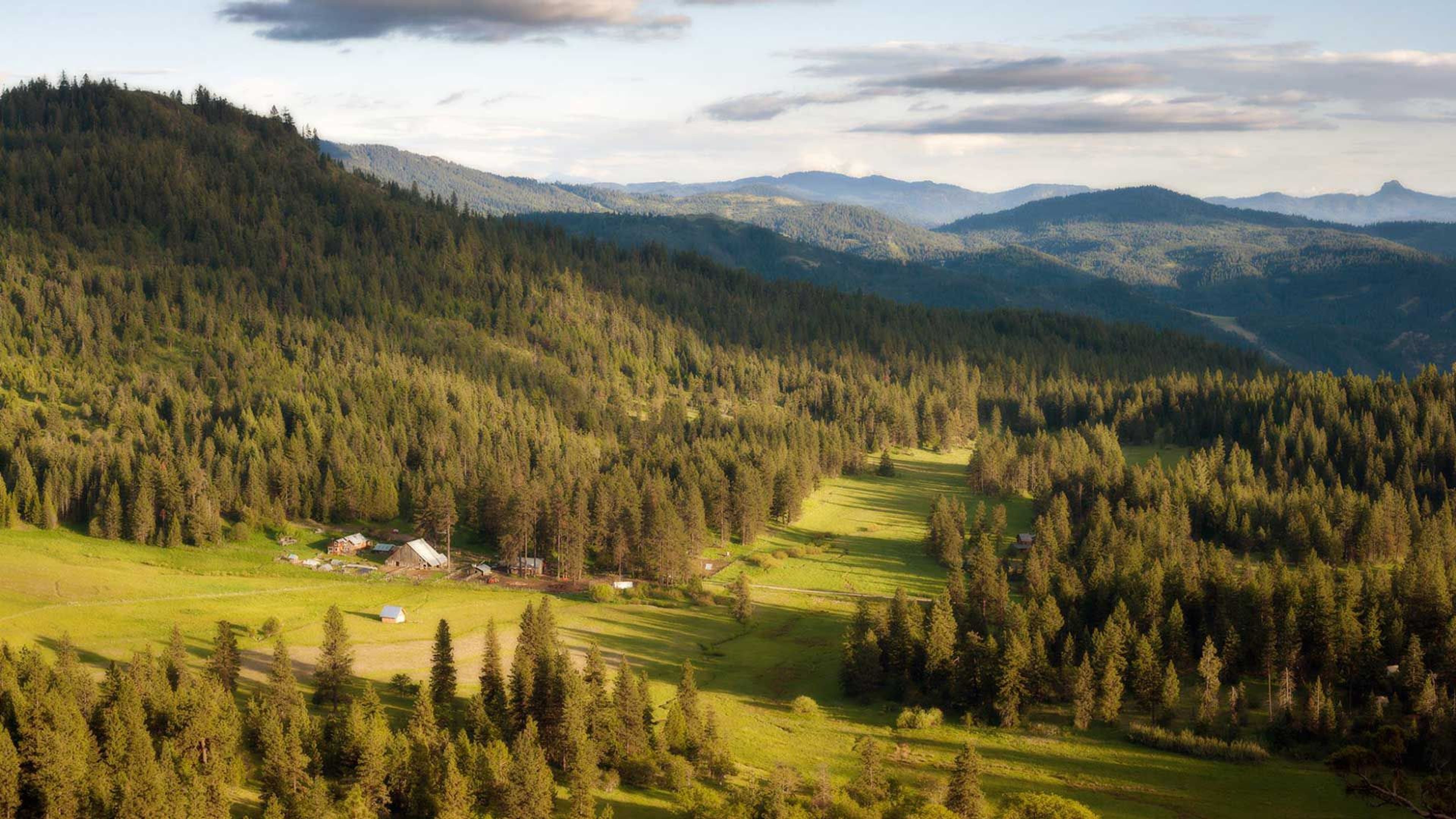 Featured photo from Willow-Witt Ranch