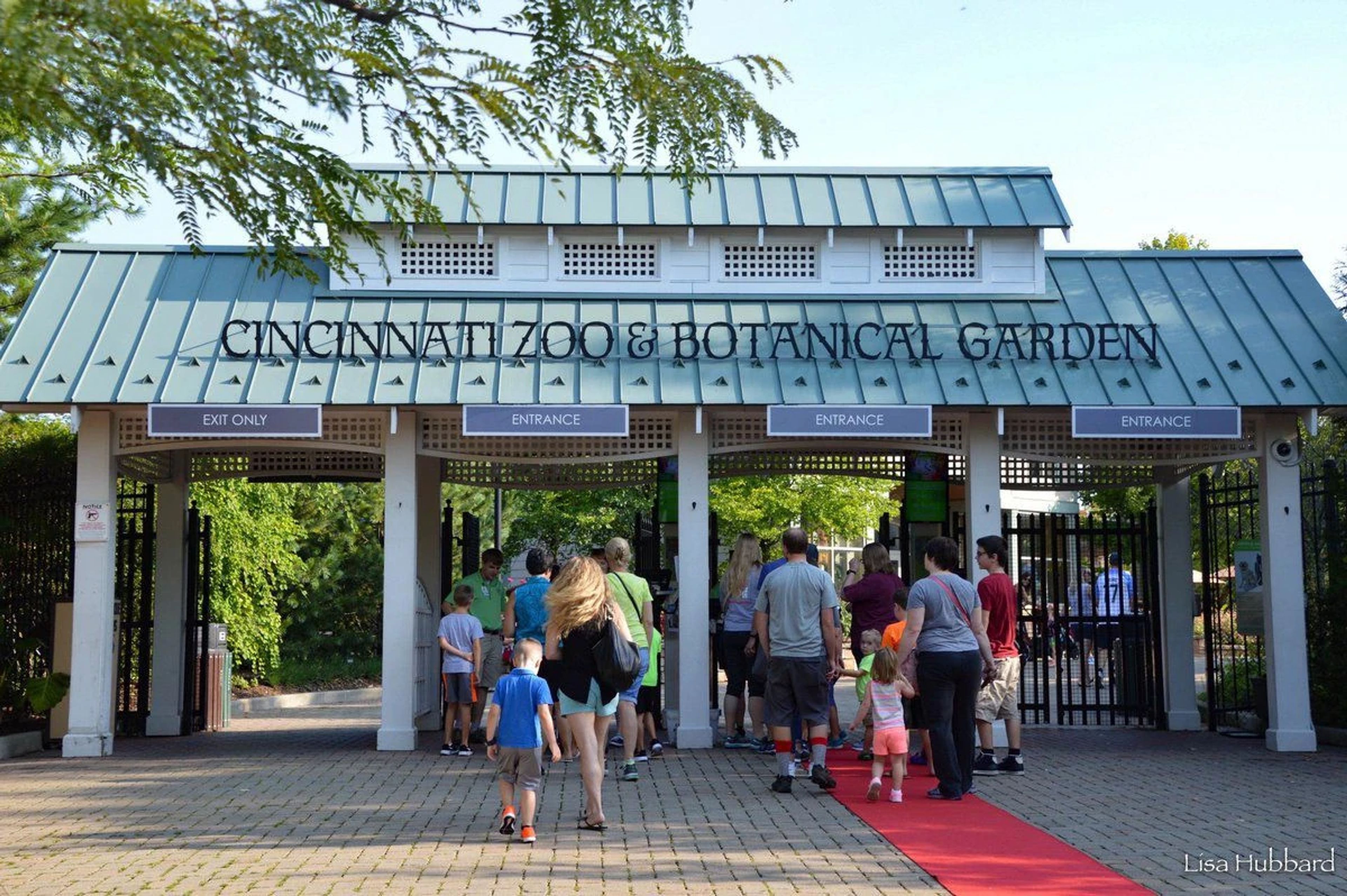 Featured photo from Cincinnati Zoo