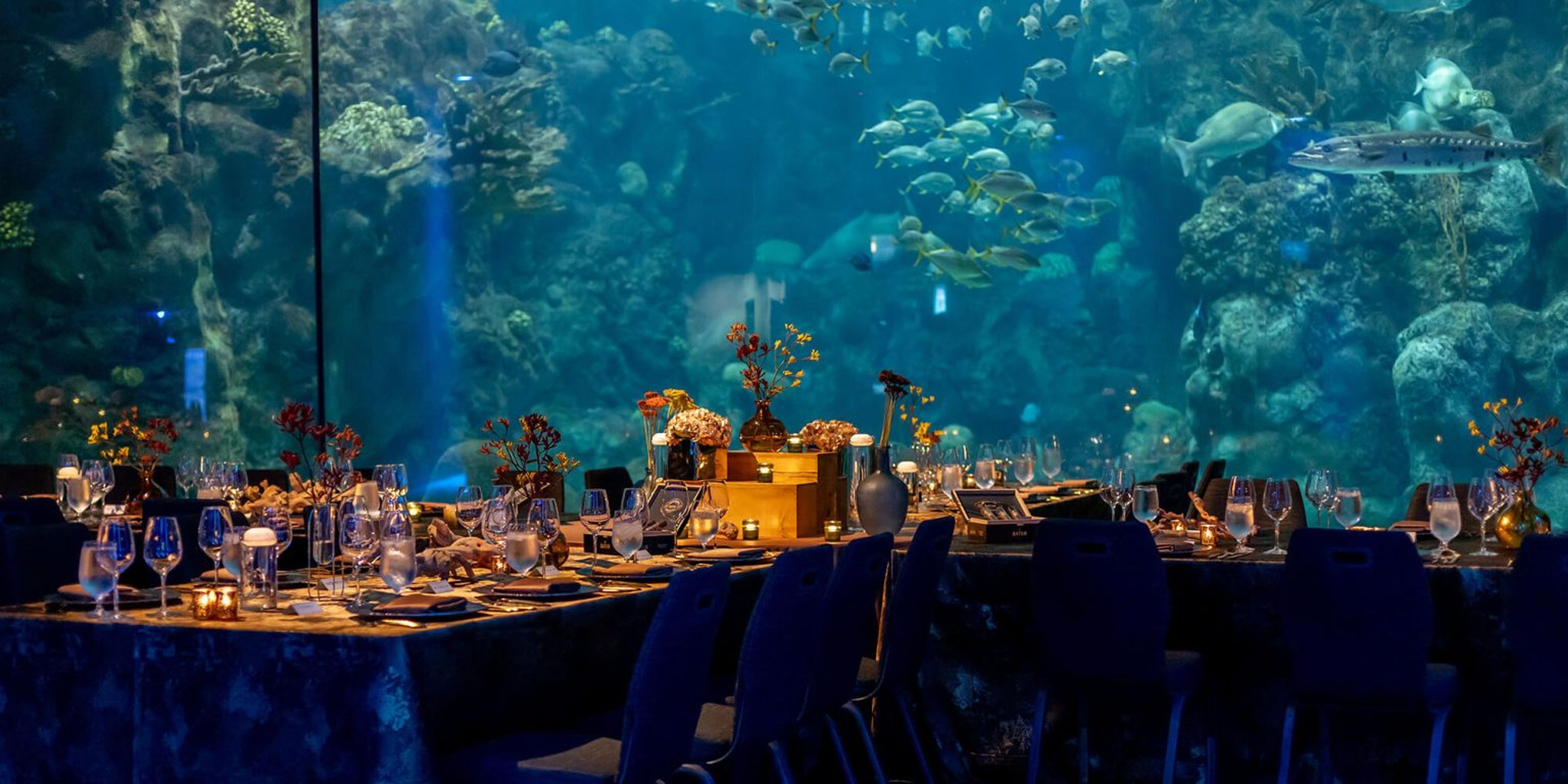Featured photo from Florida Aquarium