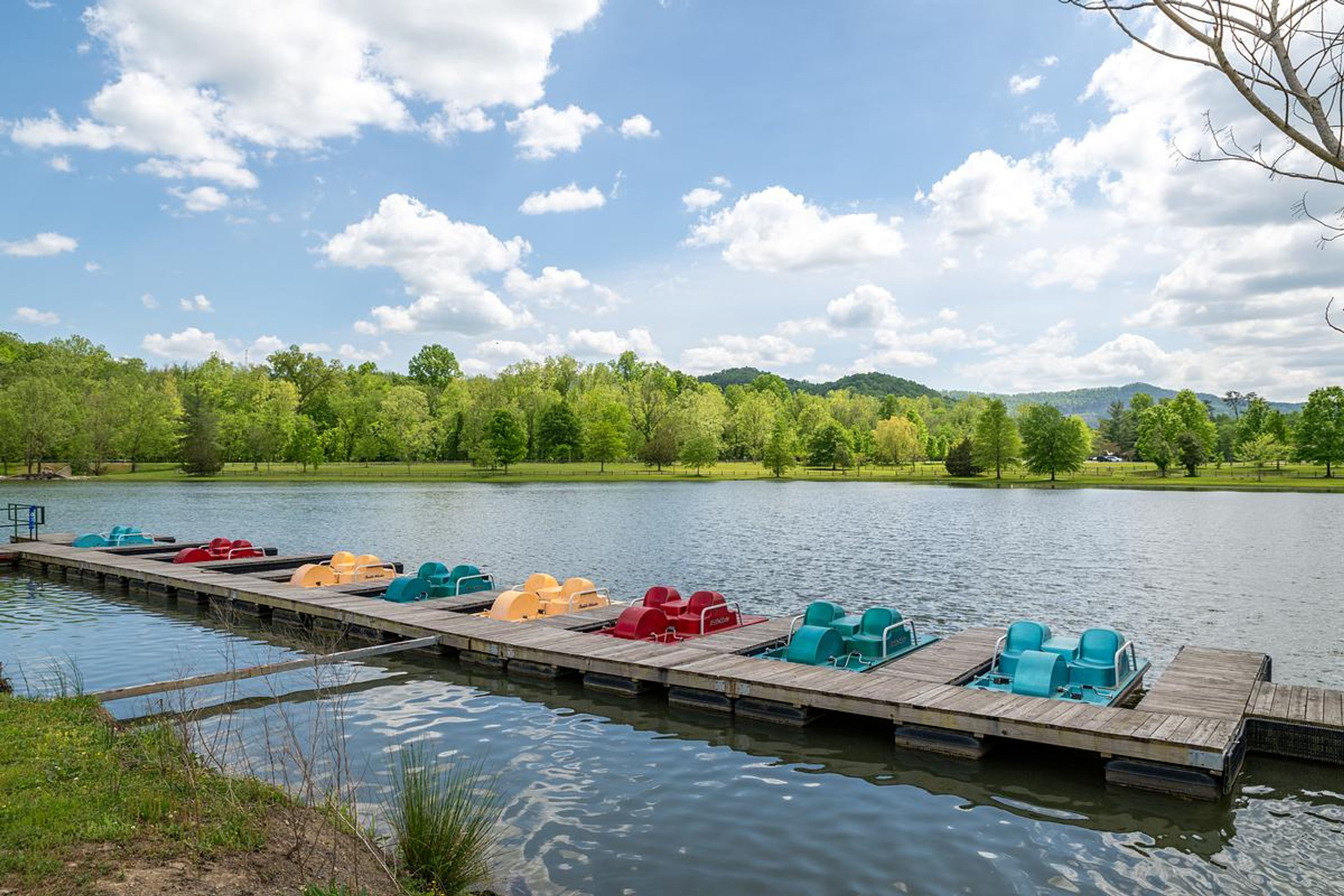 Featured photo from Cumberland Mountain State Park