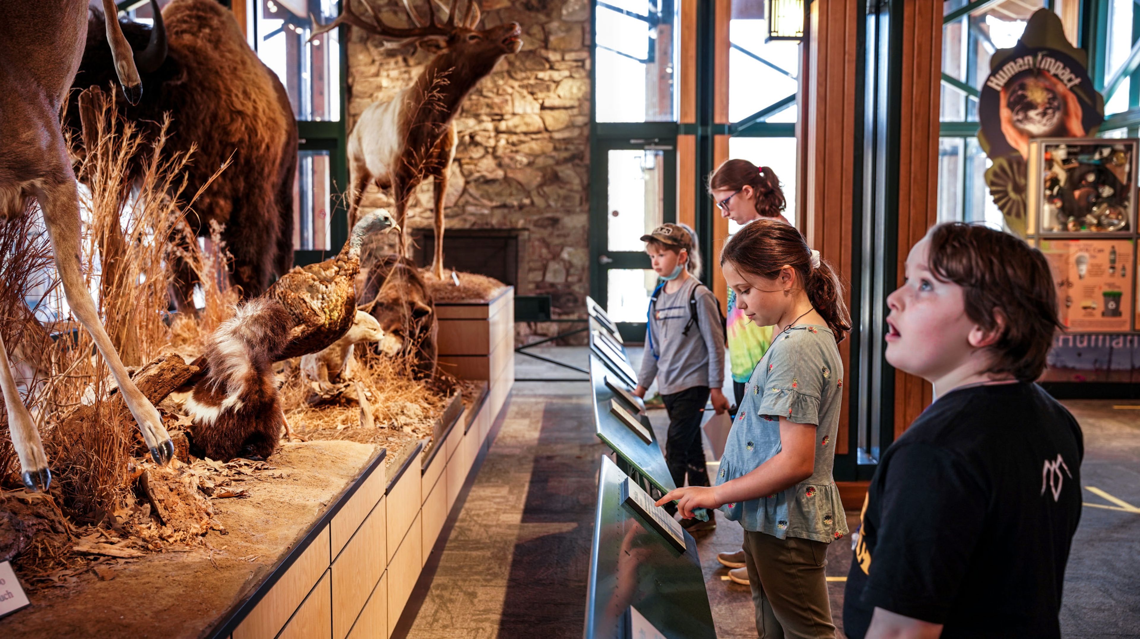Featured photo from Lichterman Nature Center