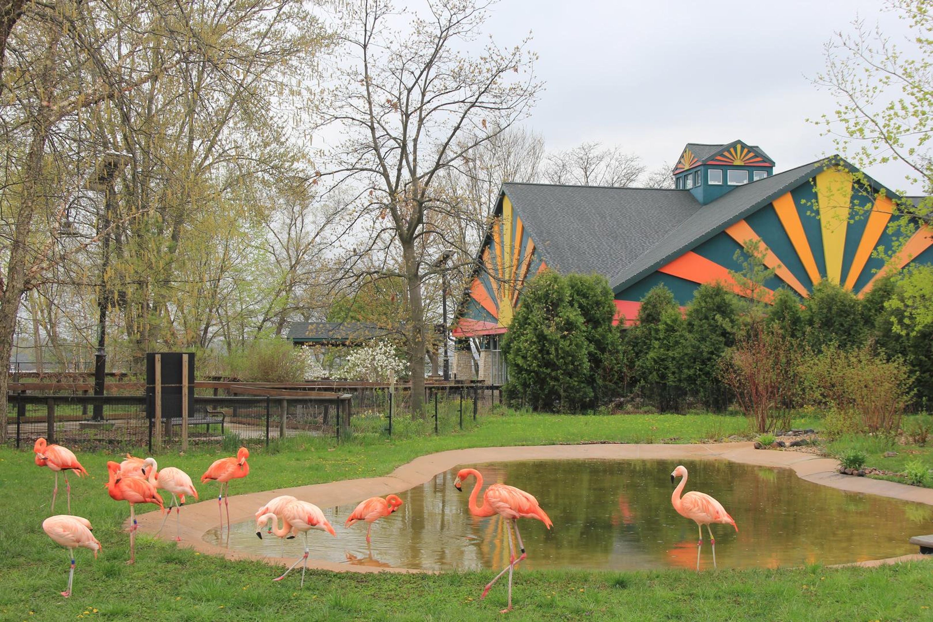 Featured photo from Henry Vilas Zoo