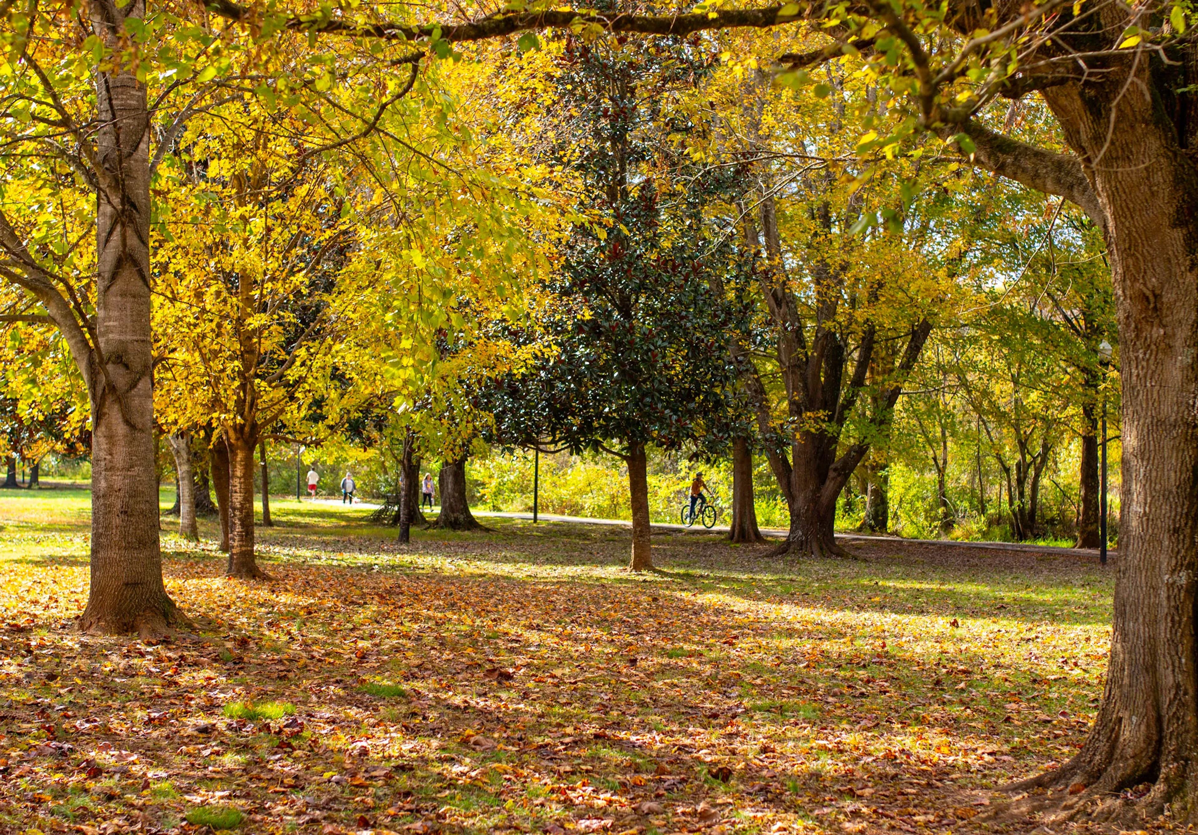 Featured photo from Pearson Springs Park