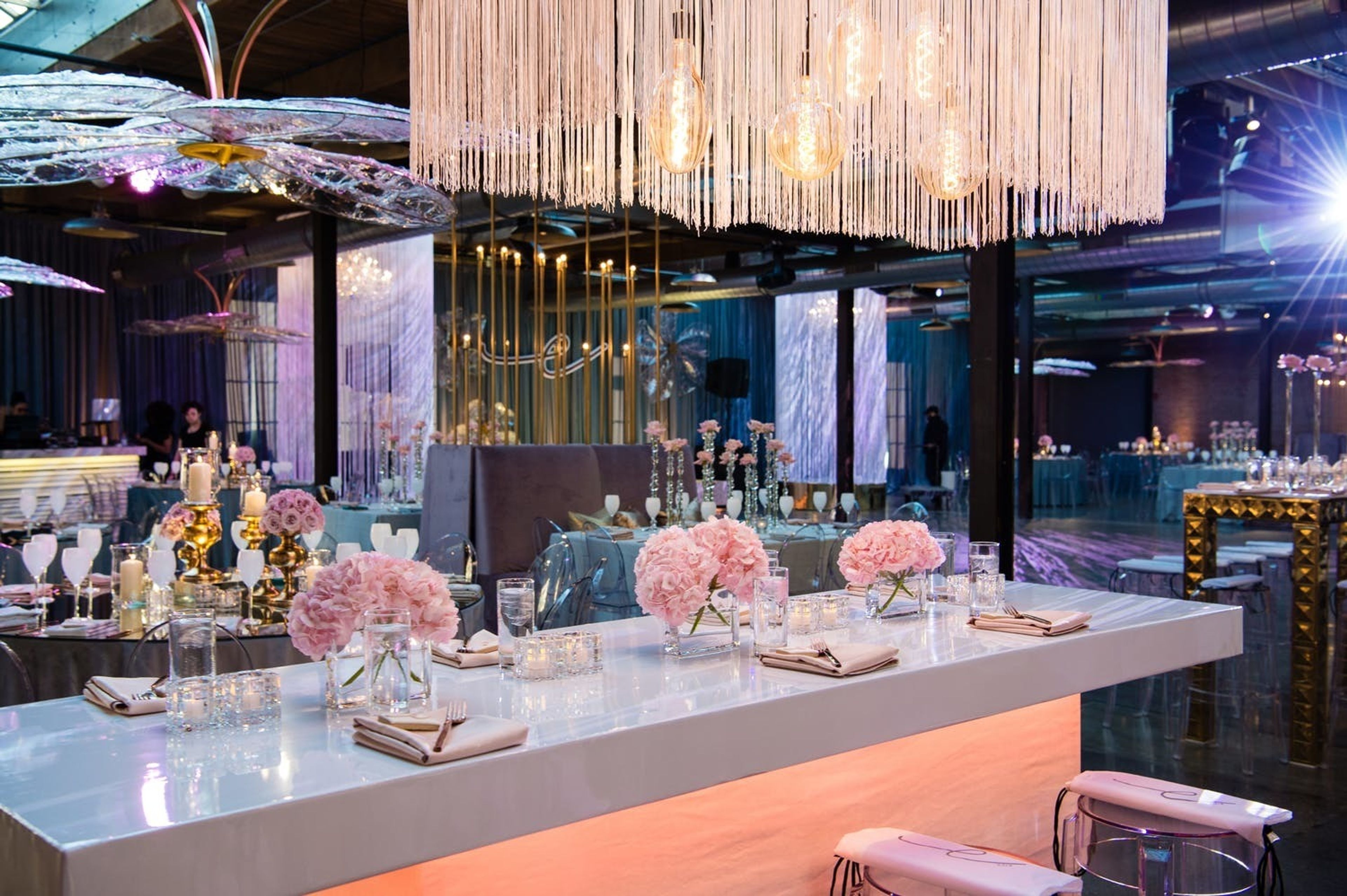 Cover photo of Romy Modlin Photography