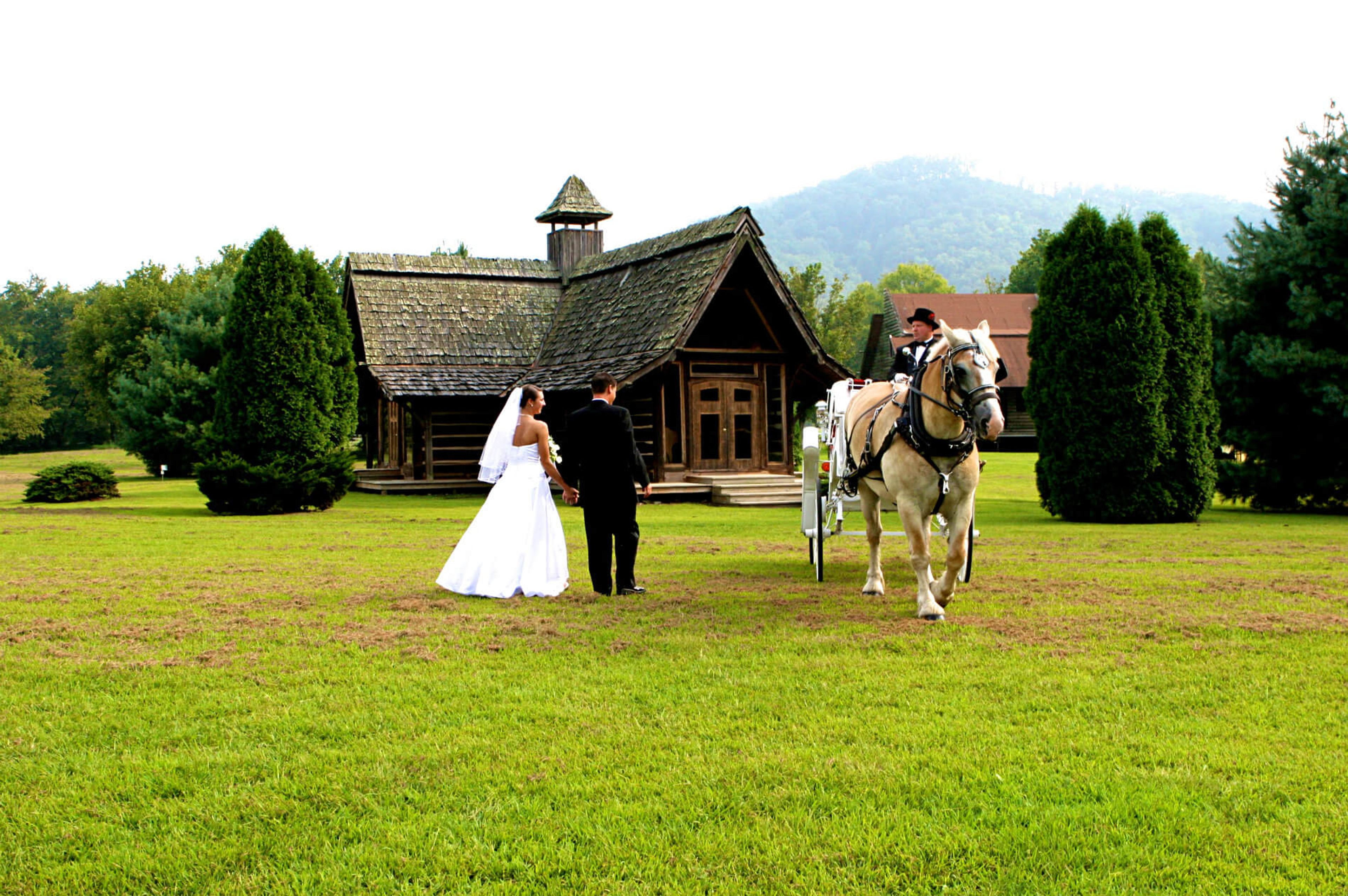 Featured photo from Whisperwood Farm