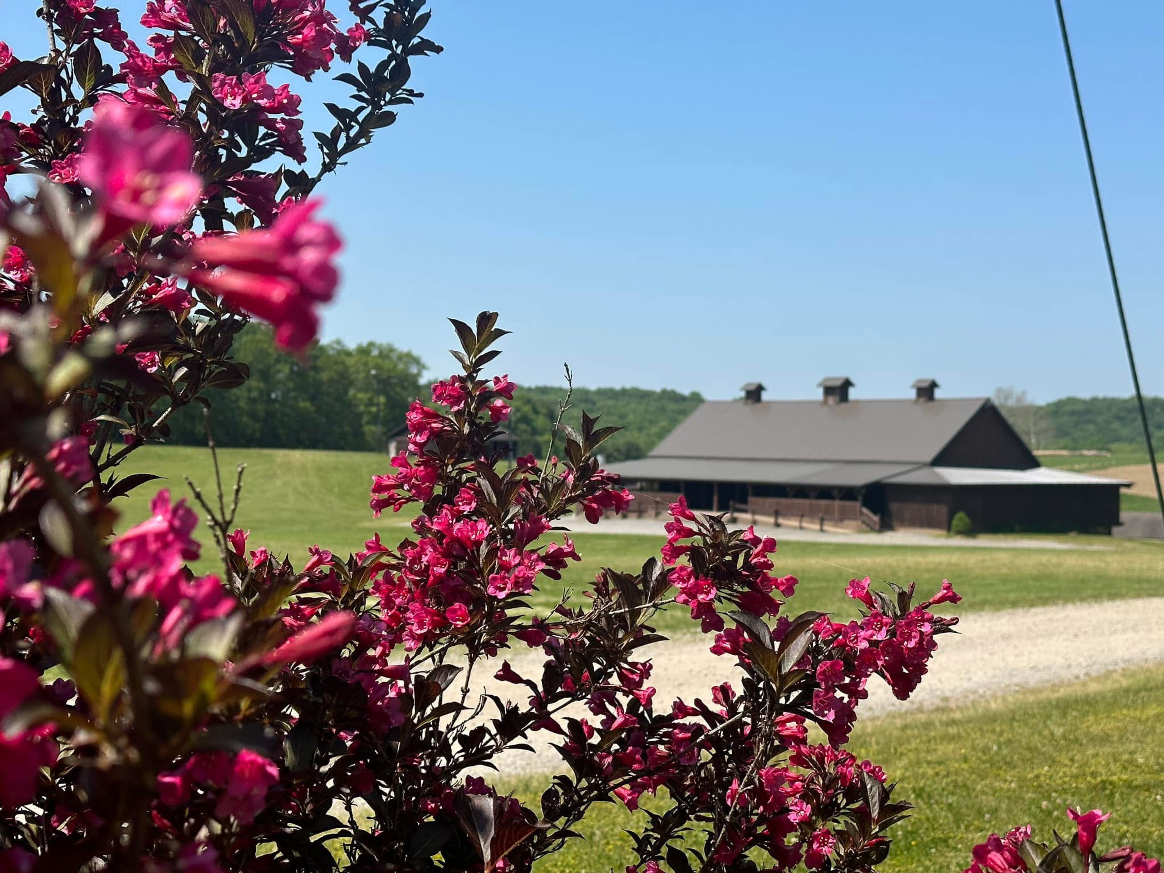 Featured photo from Betsy's Barn at Cheeseman Farm