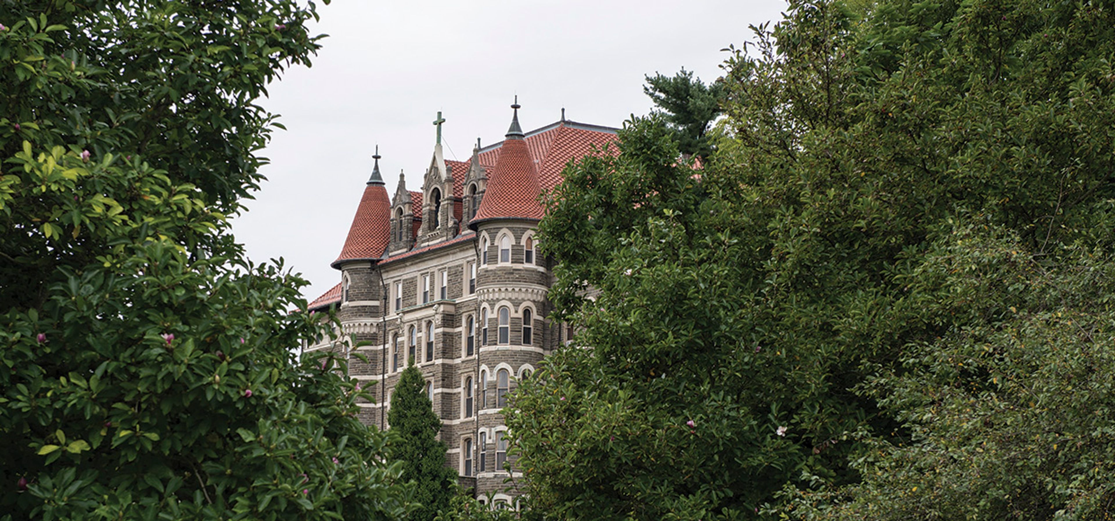 Featured photo from Chestnut Hill College