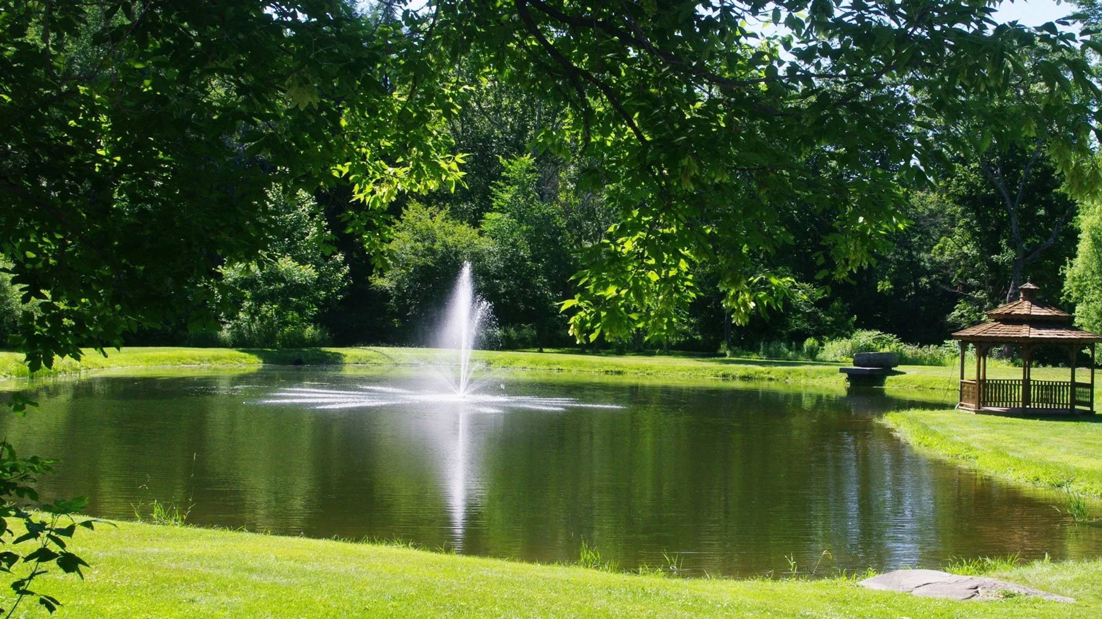 Cover photo of Creekside Grove