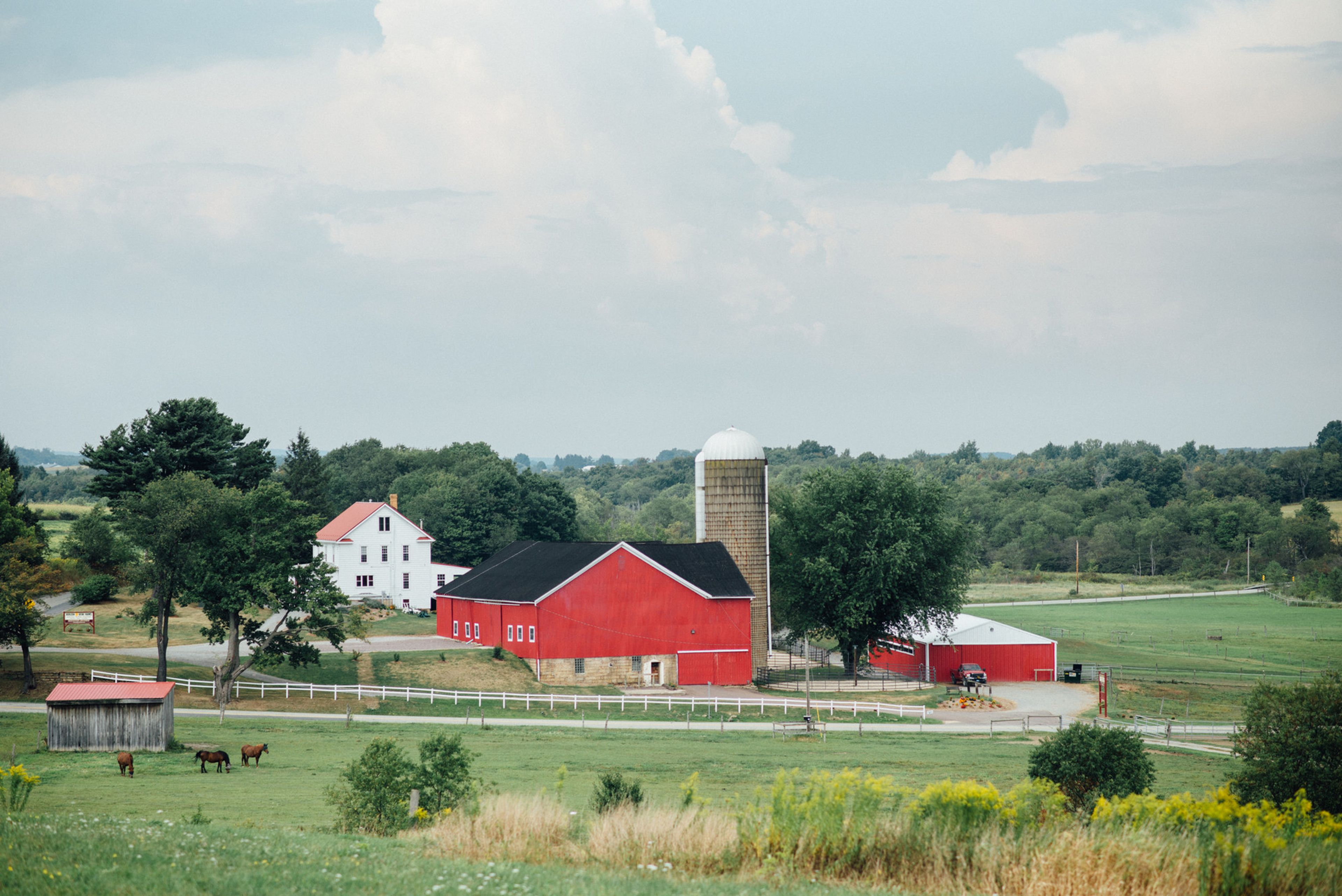 Featured photo from Horizon View Farm
