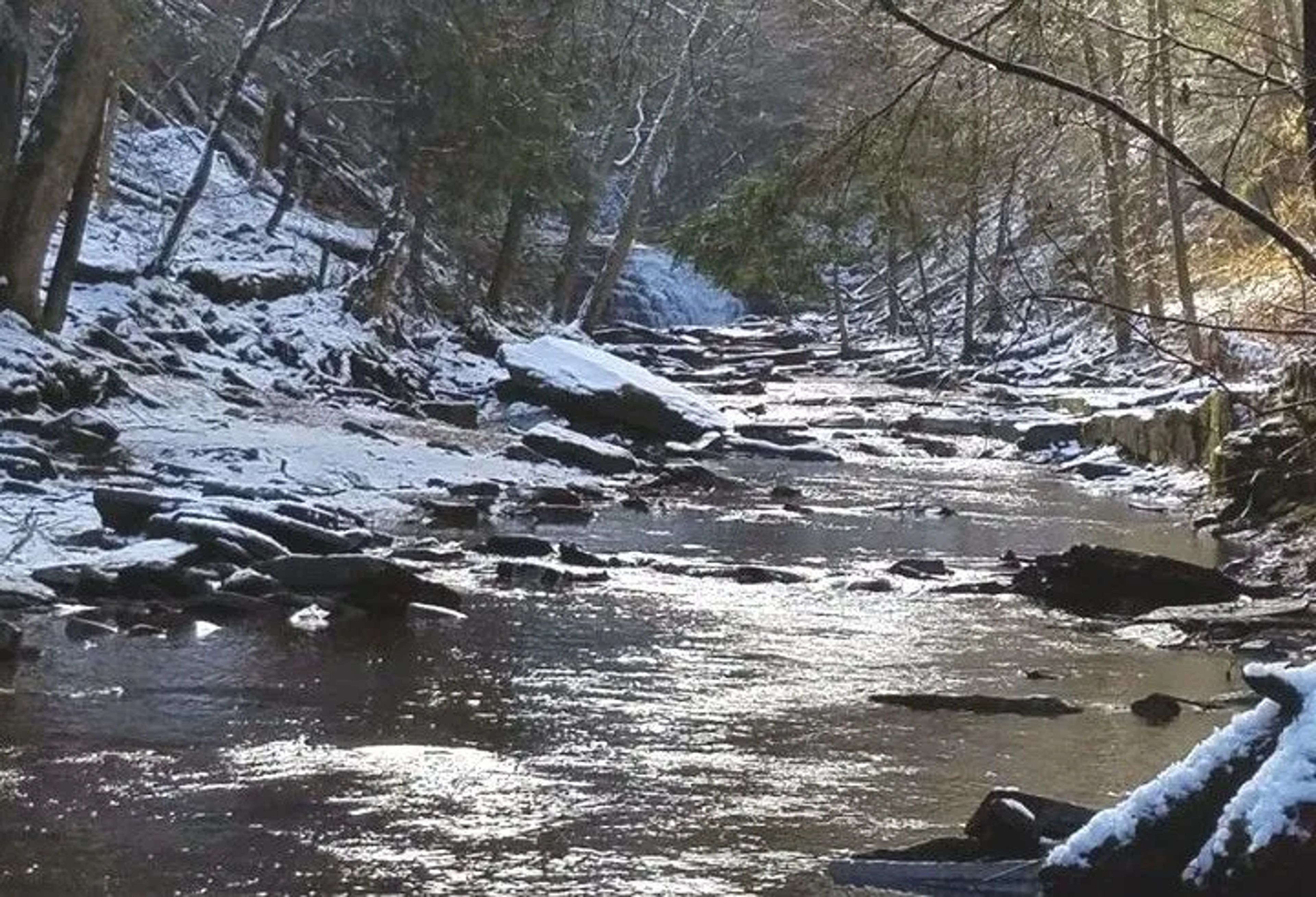 Featured photo from Salt Springs Park