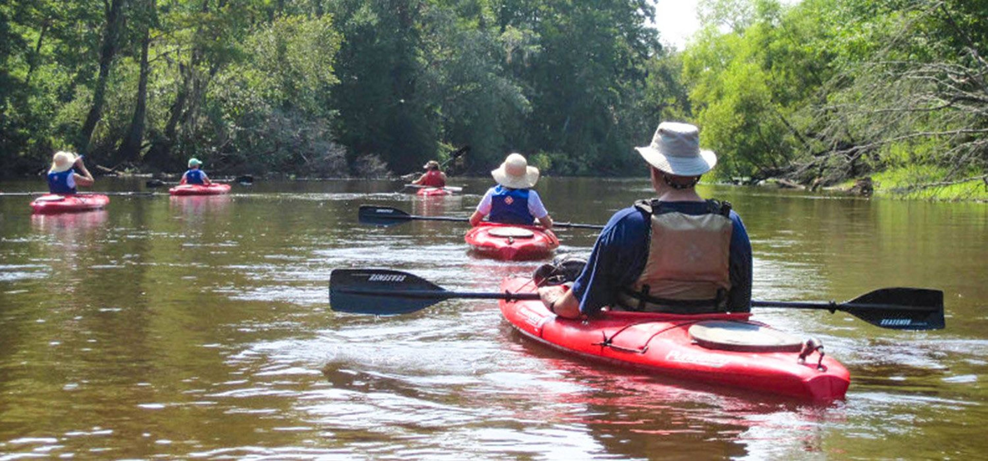 Featured photo from Givhans Ferry State Park