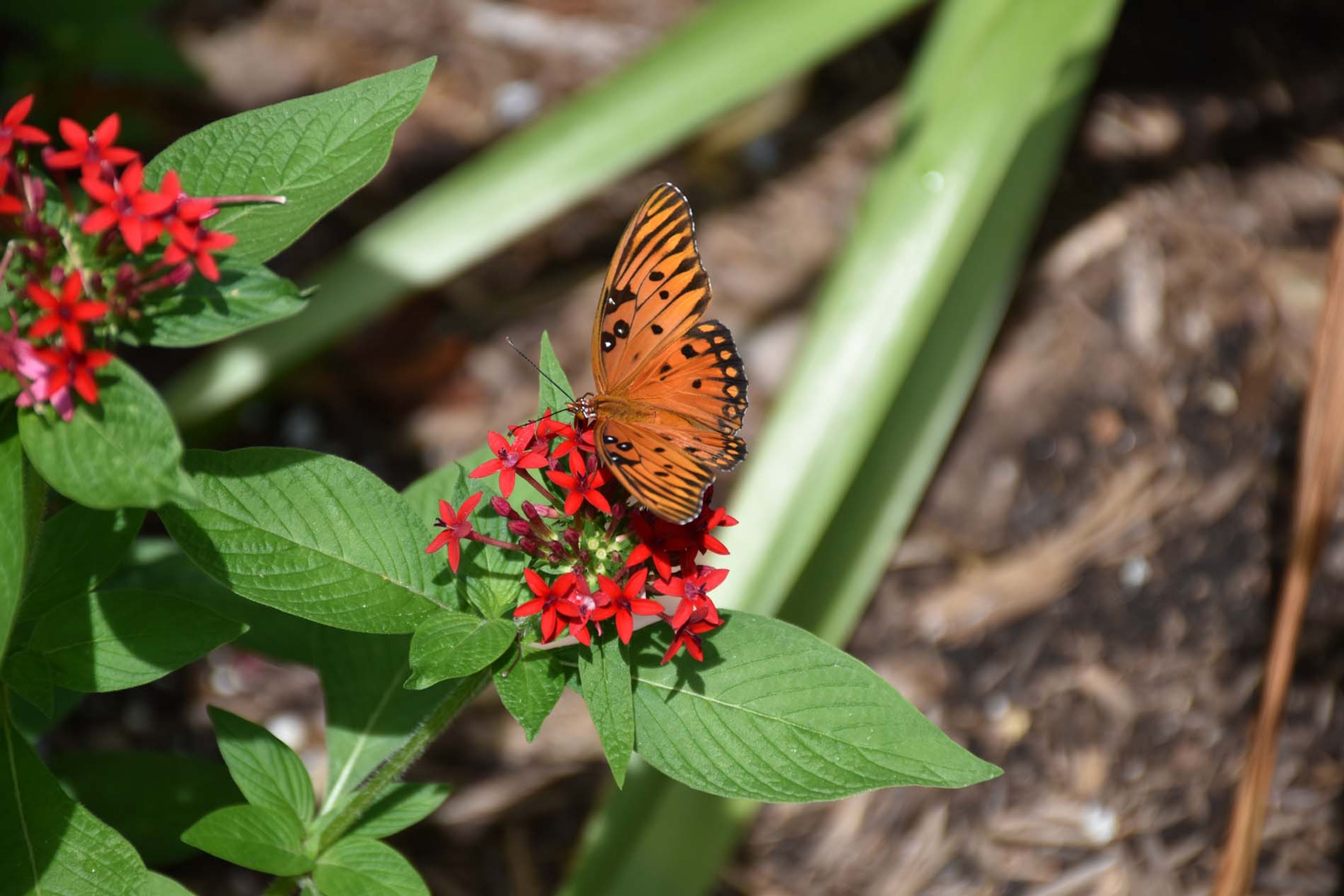 Featured photo from Hopelands Gardens