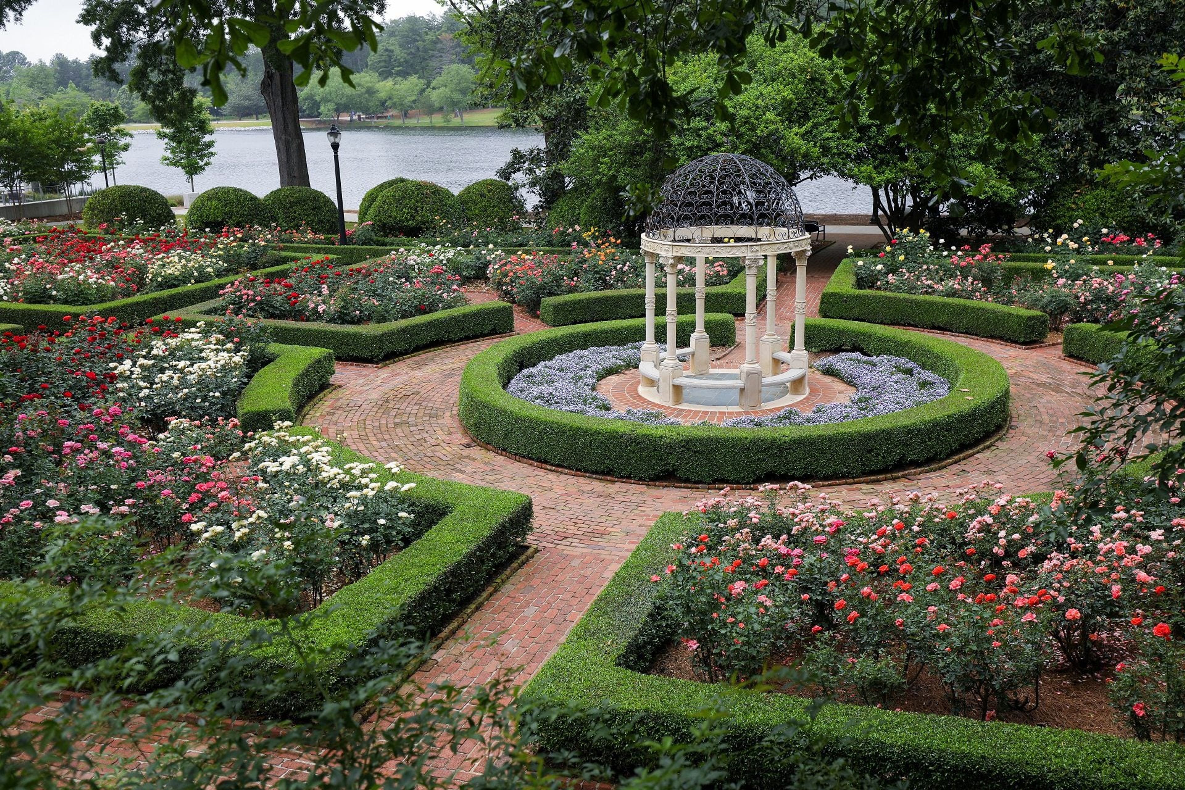 Featured photo from Janie E Furman Rose Garden