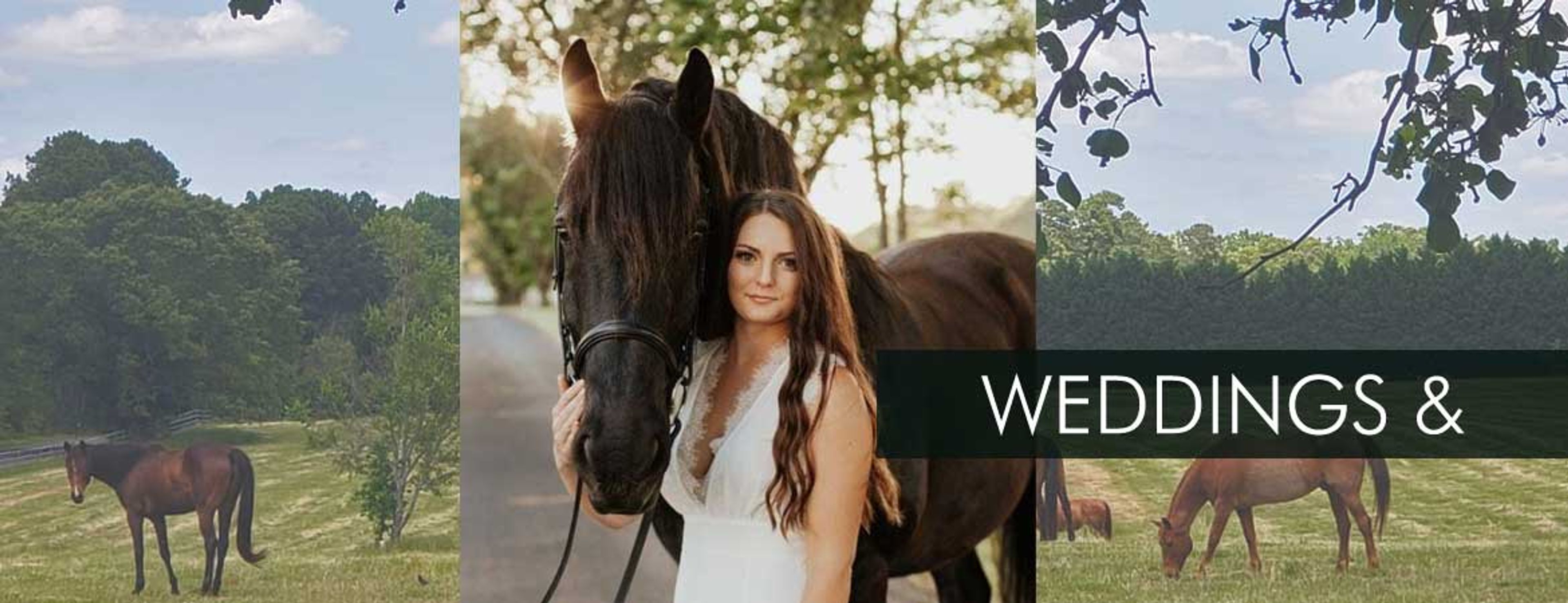 Featured photo from Oxford Farm
