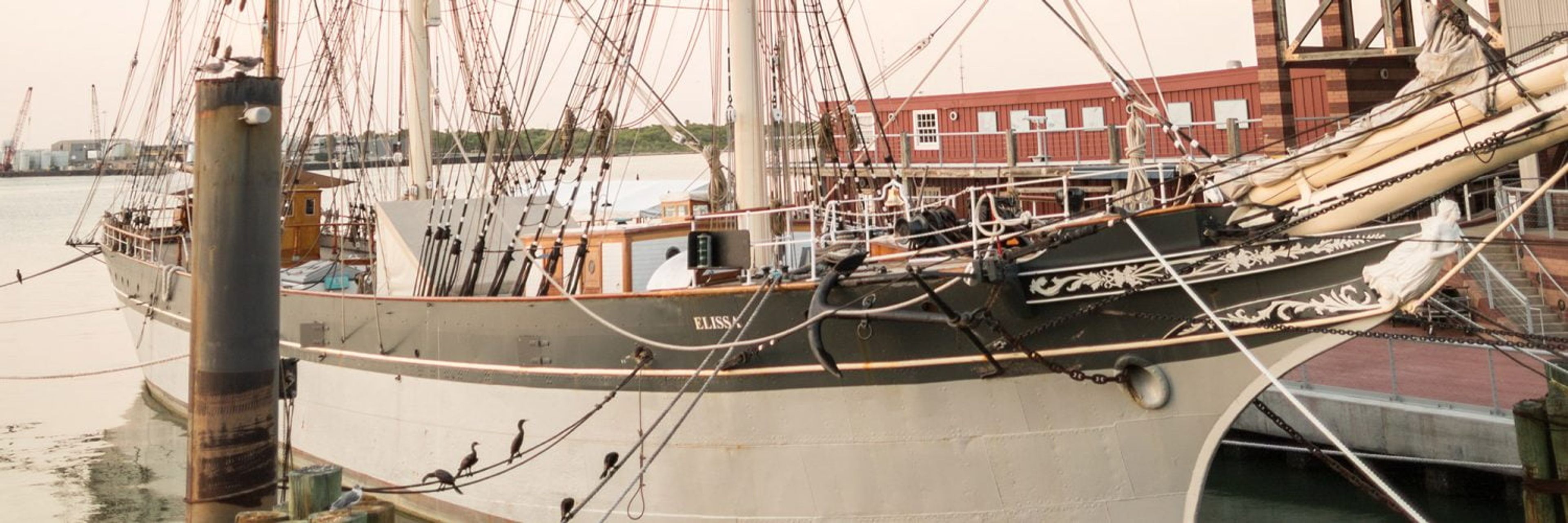 Cover photo of 1877 Tall Ship ELISSA & The Texas Seaport Museum