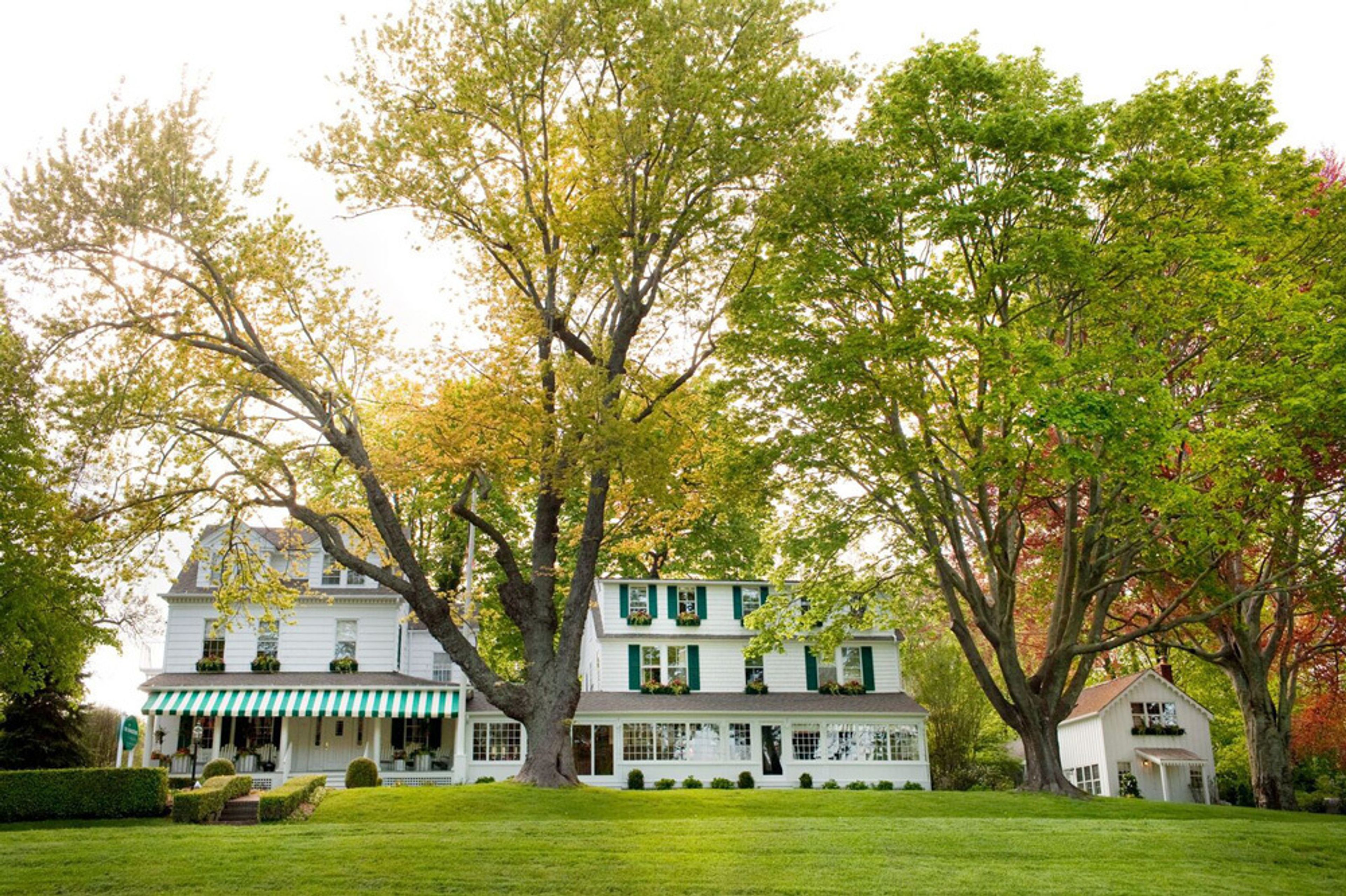 Cover photo of The Maidstone Hotel