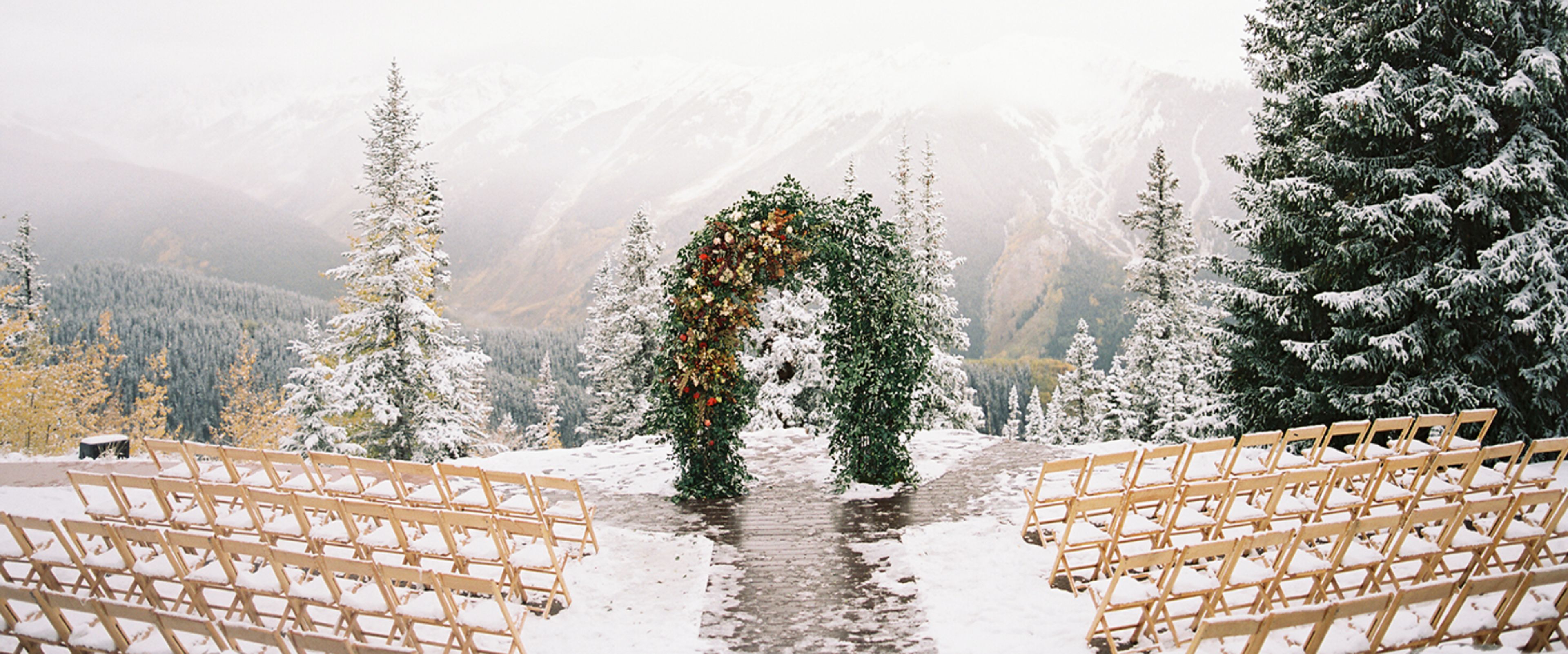 Cover photo of Bluebird Productions