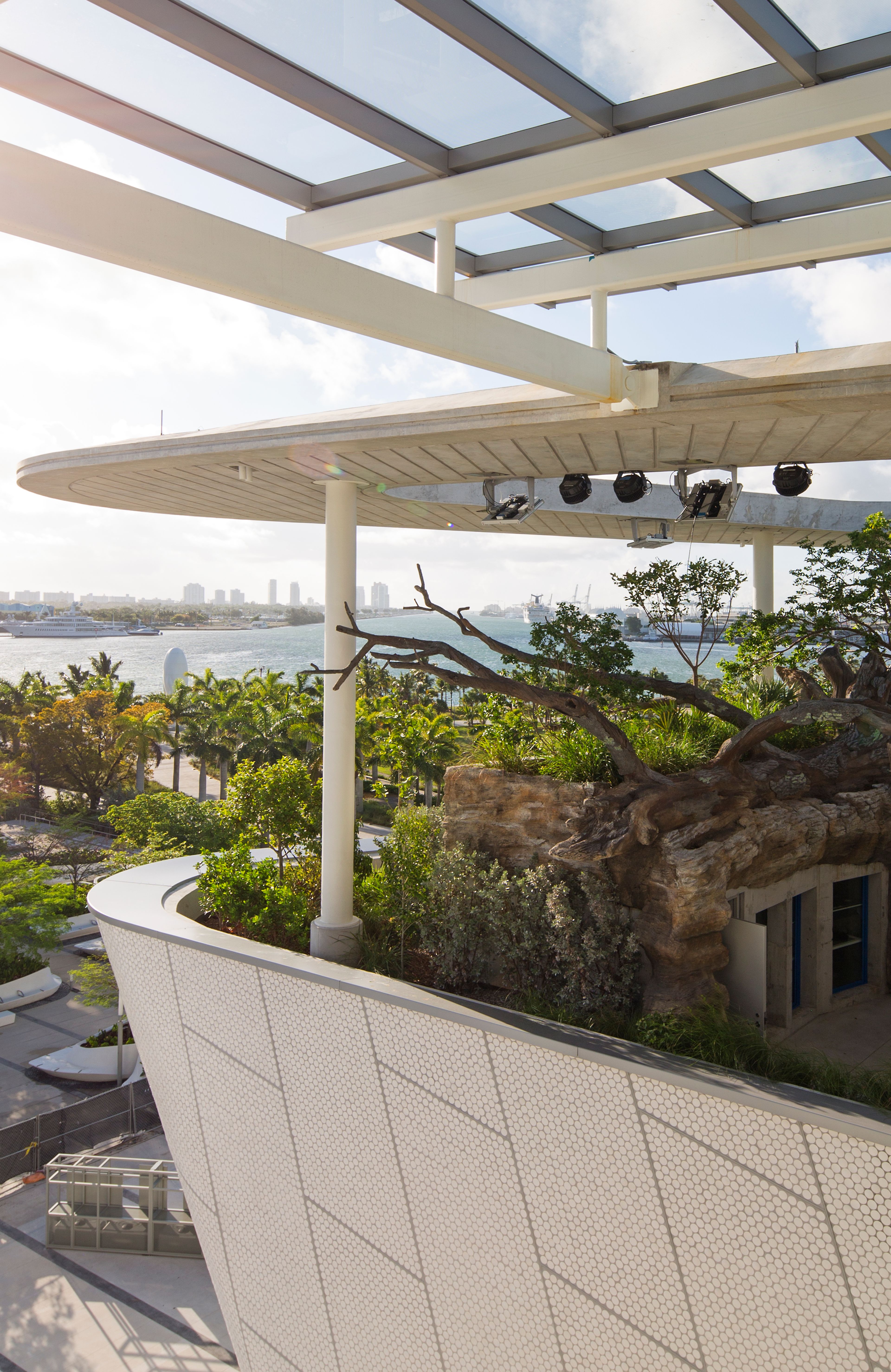 Cover photo of The Phillip and Patricia Frost Museum of Science