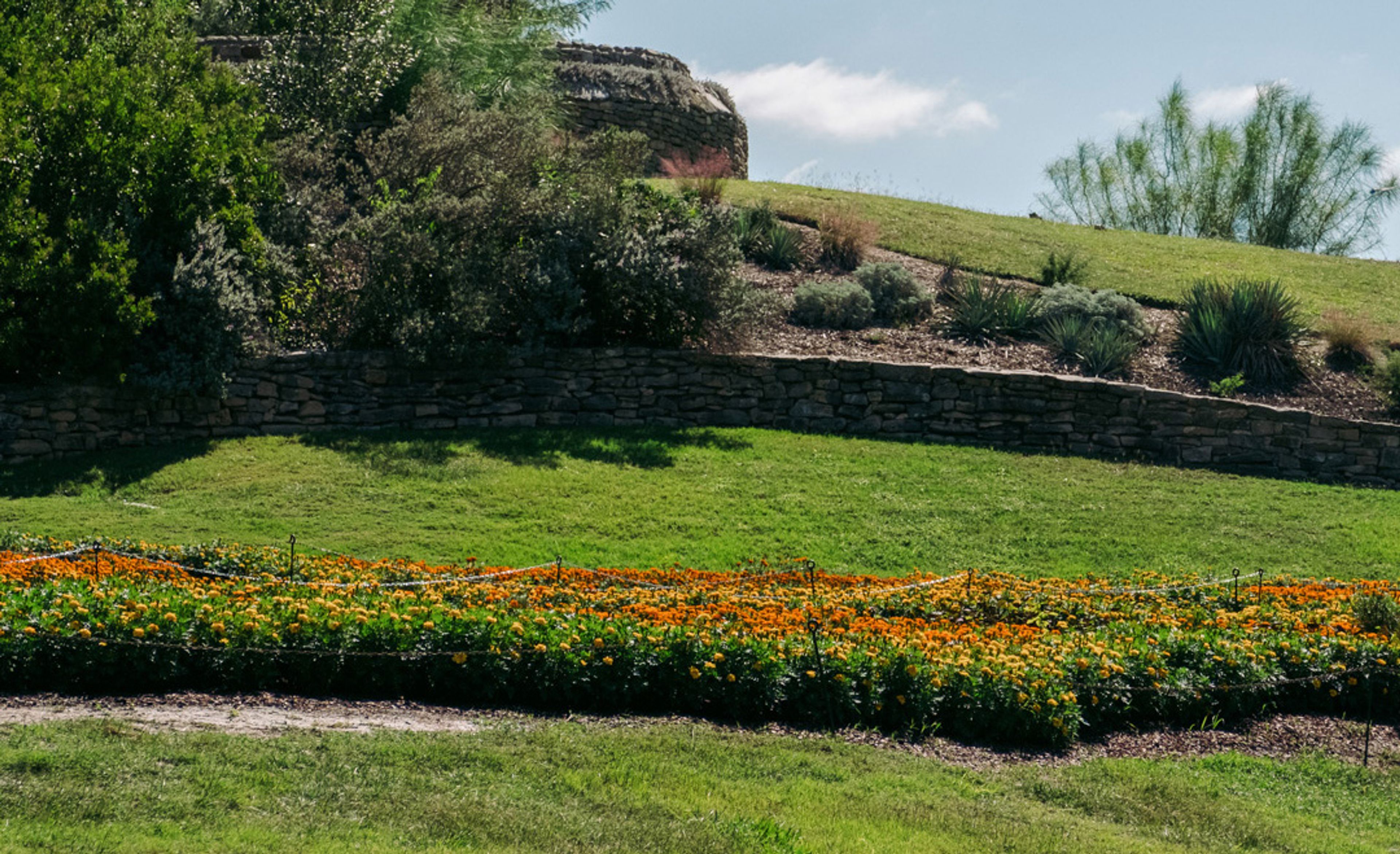Featured photo from San Antonio Botanical Garden