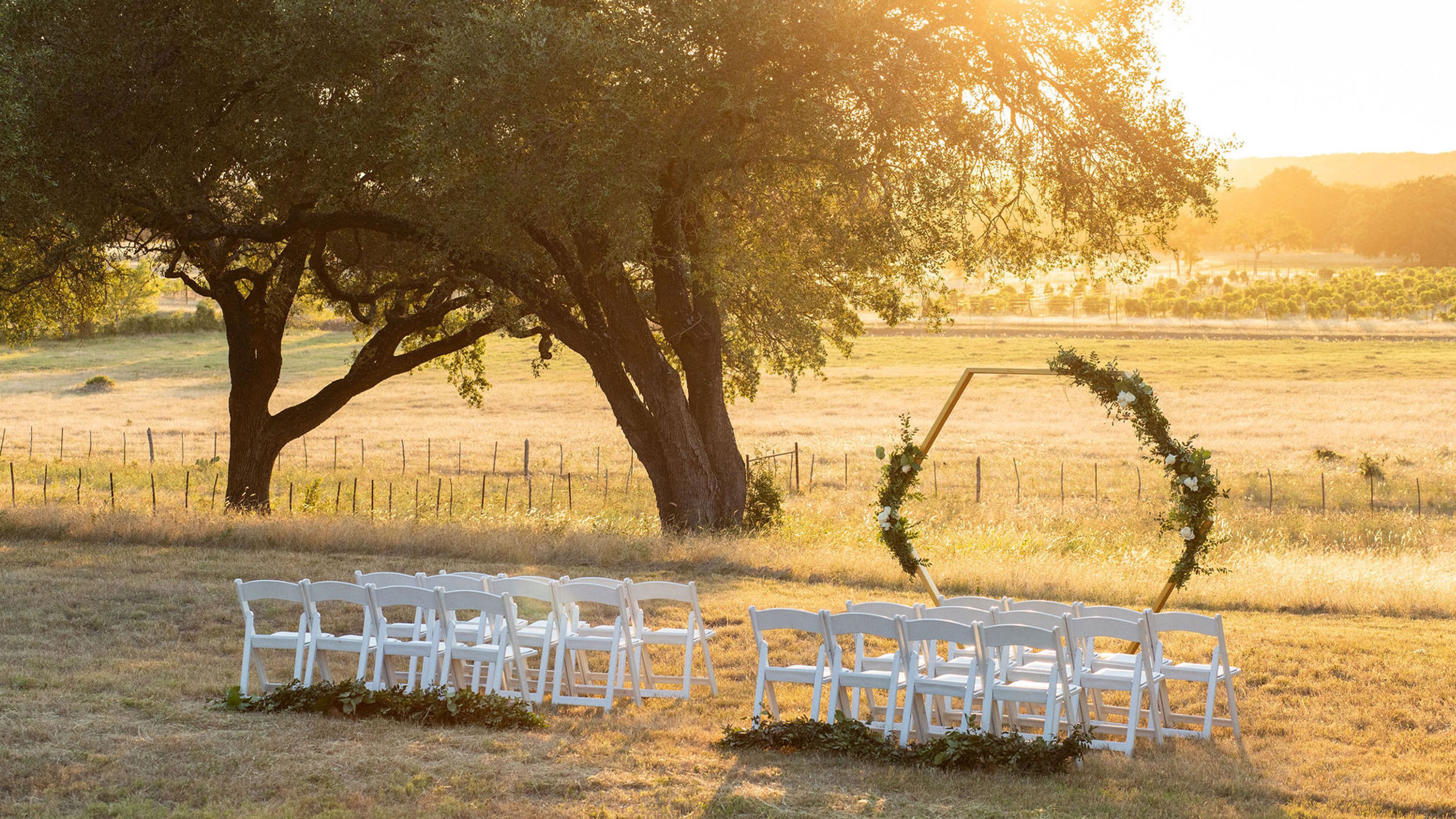 Cover photo of The Vineyard at Florence