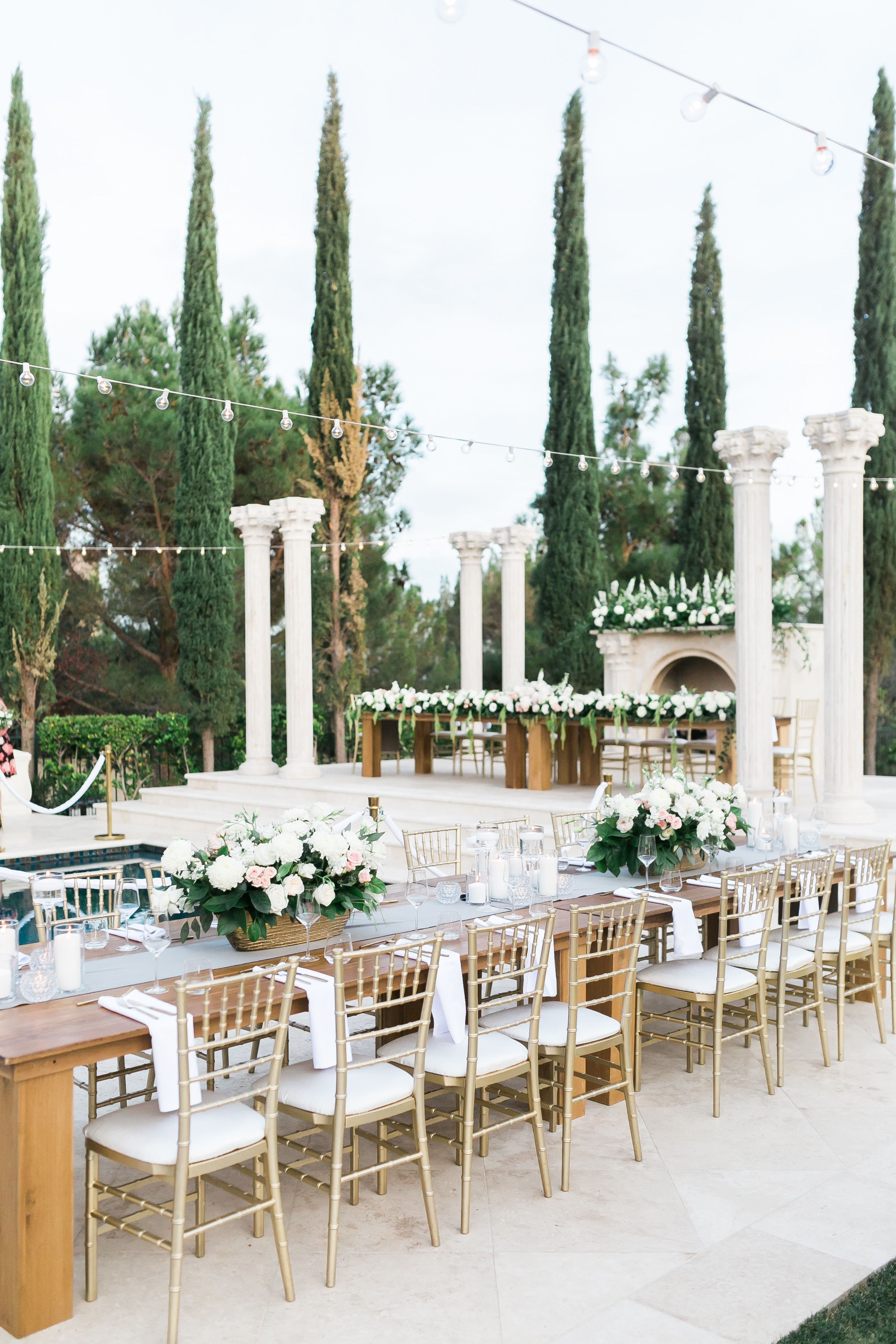 Cover photo of Miss Daisy