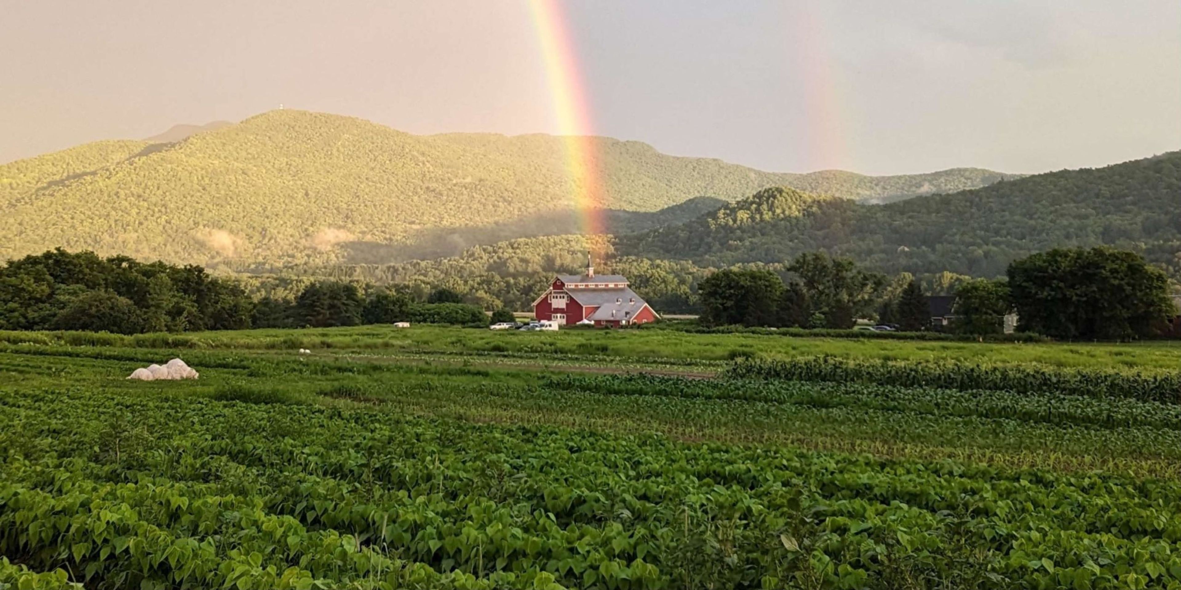 Featured photo from The West Monitor Barn