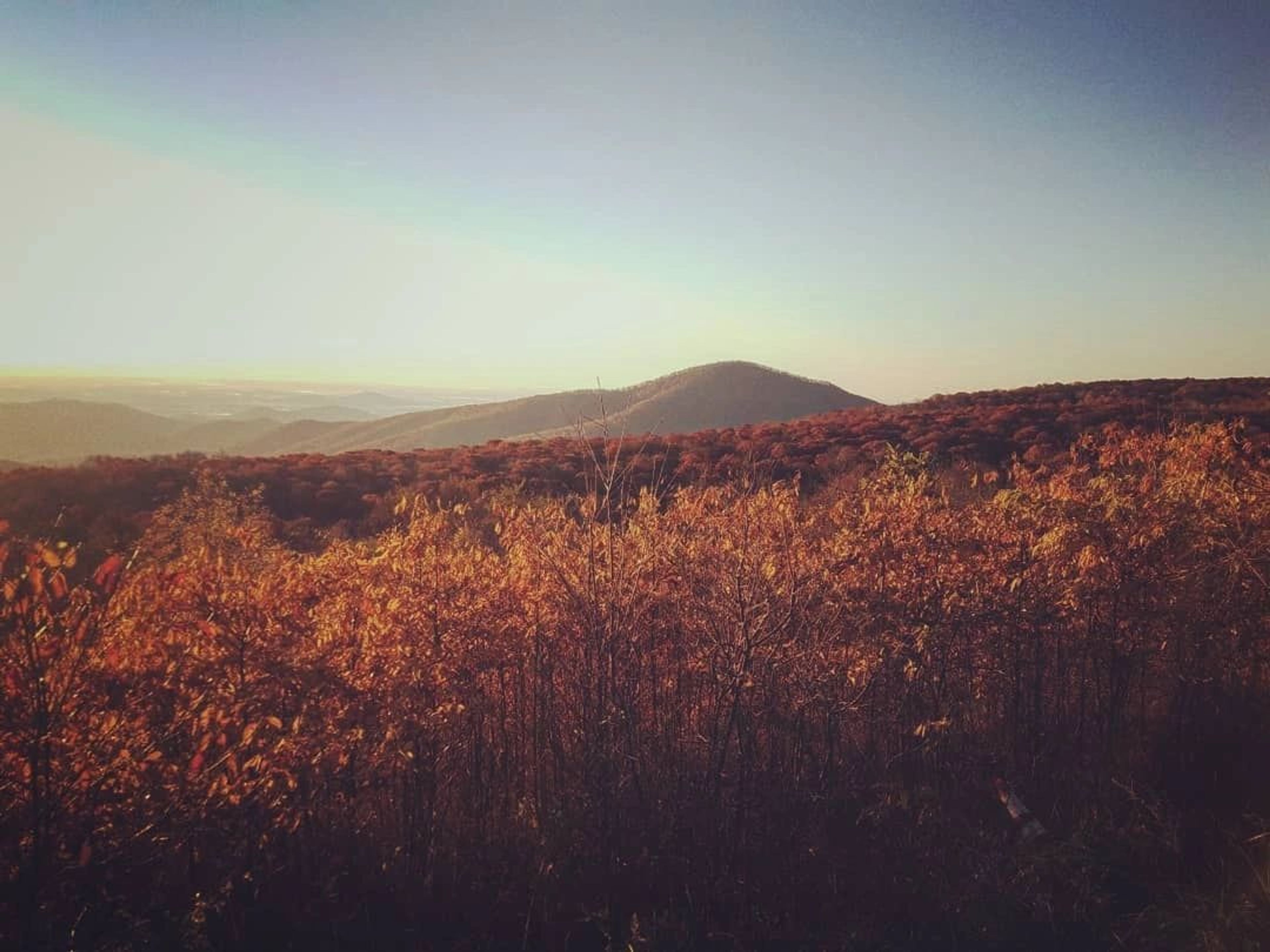 Featured photo from Blue Mountain Lodge