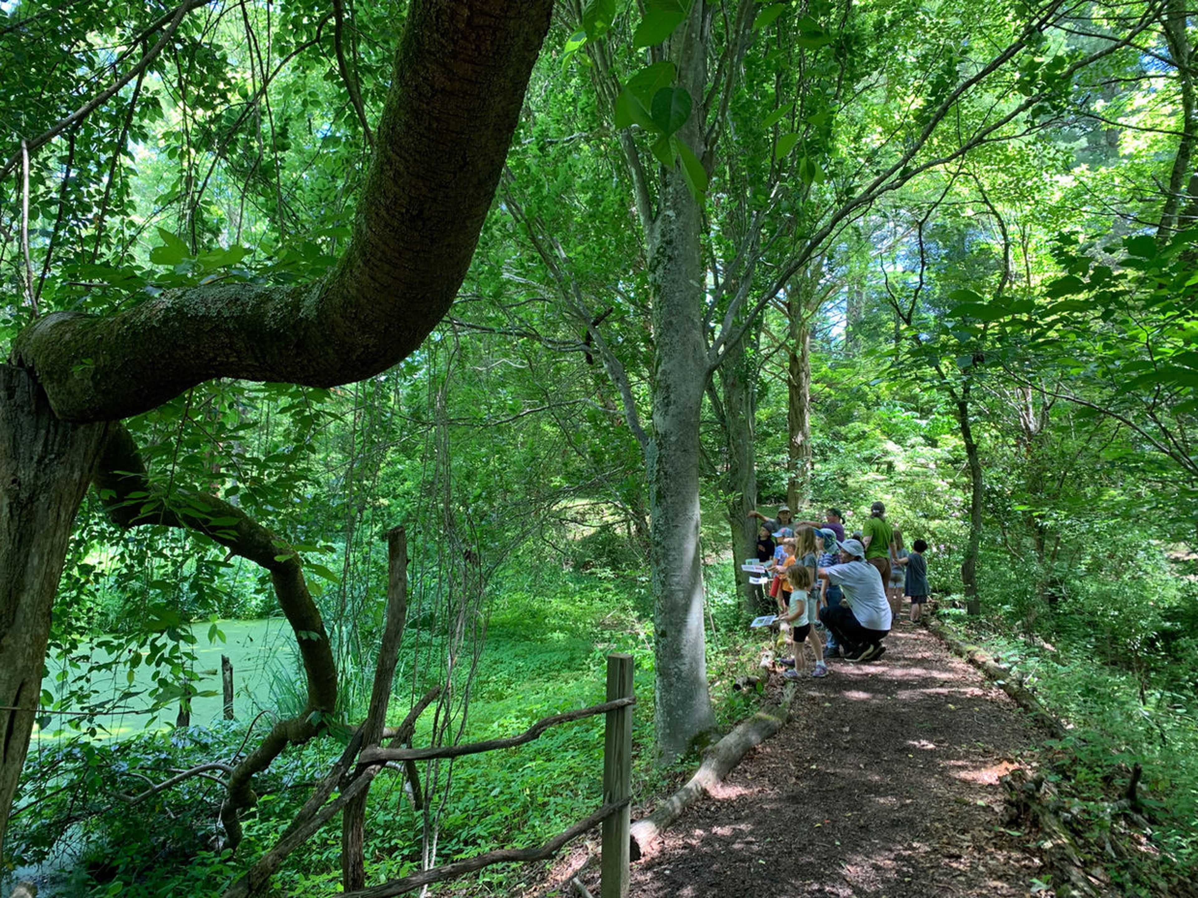 Featured photo from Boxerwood Nature Center & Woodland Garden