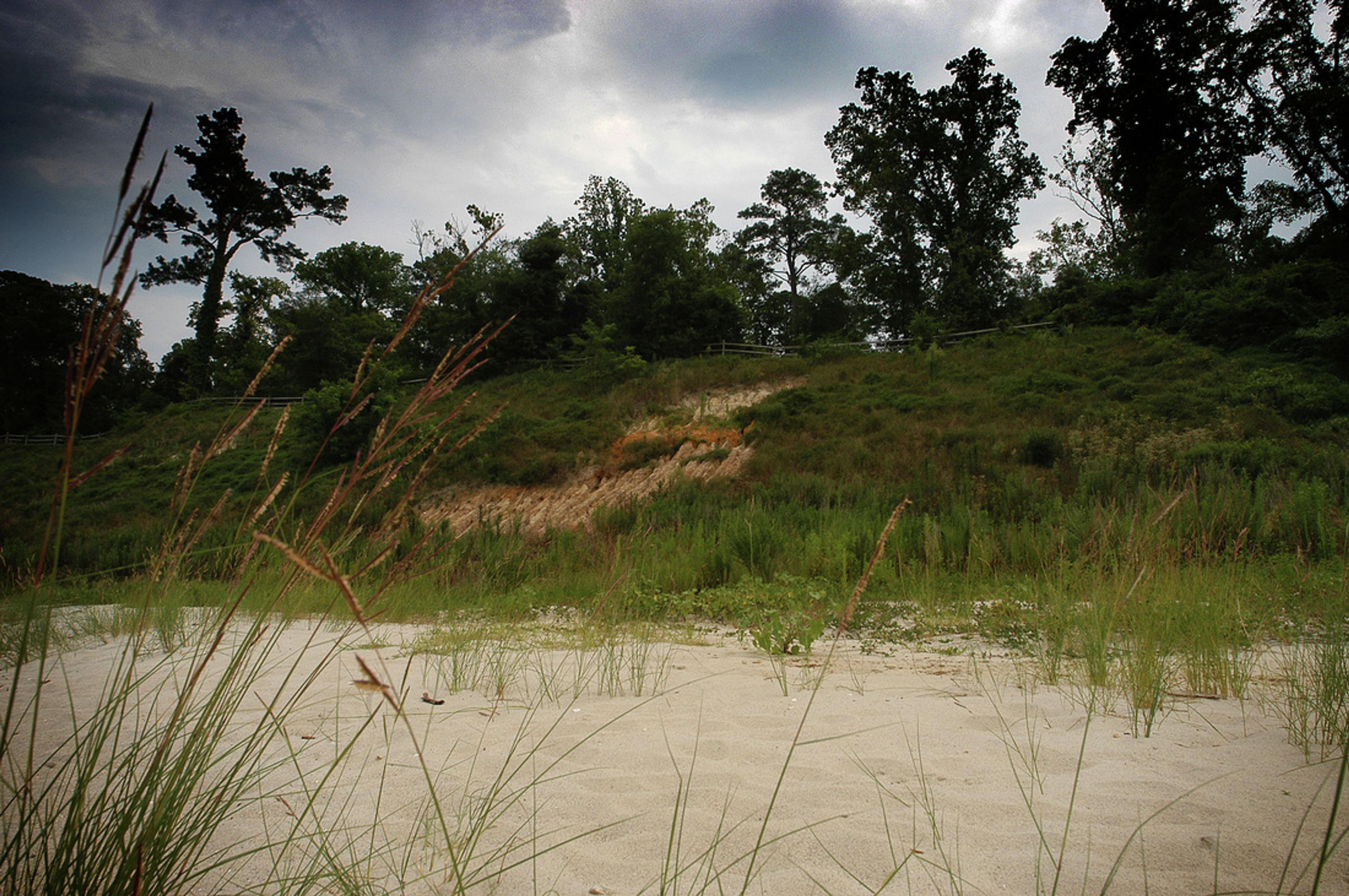 Featured photo from Fort Boykins Historic Park