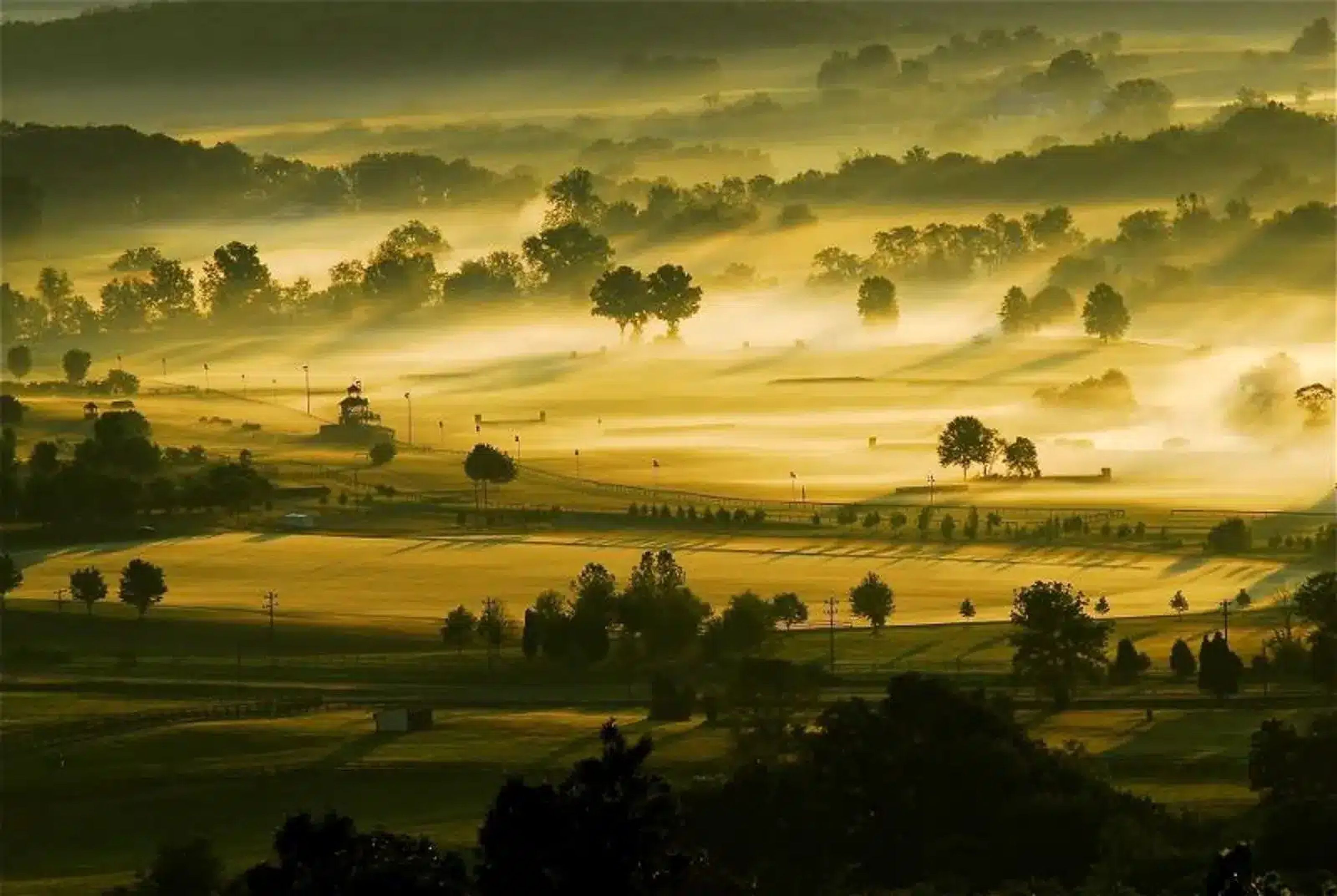 Featured photo from Great Meadow Foundation