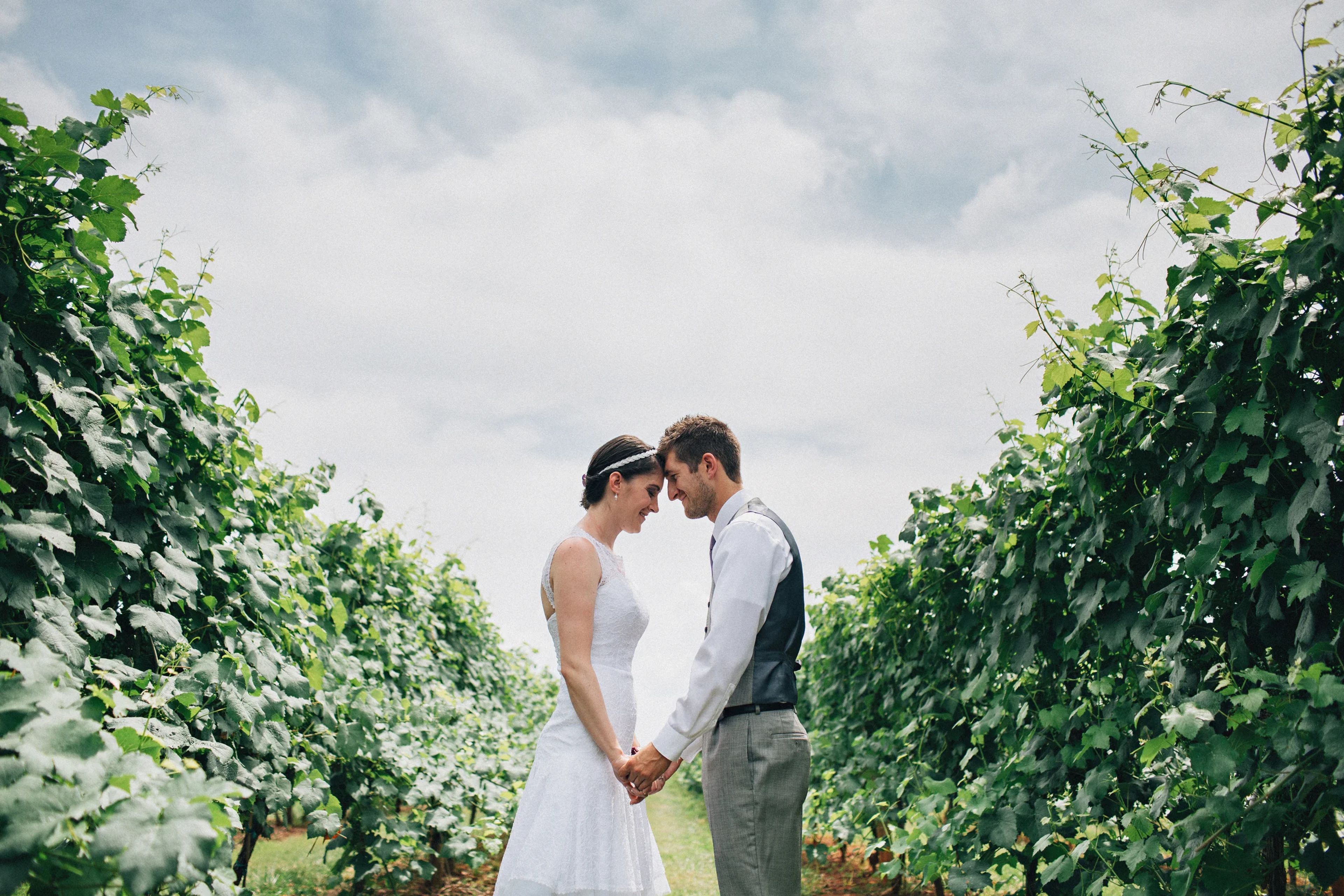 Featured photo from Lazy Days Winery