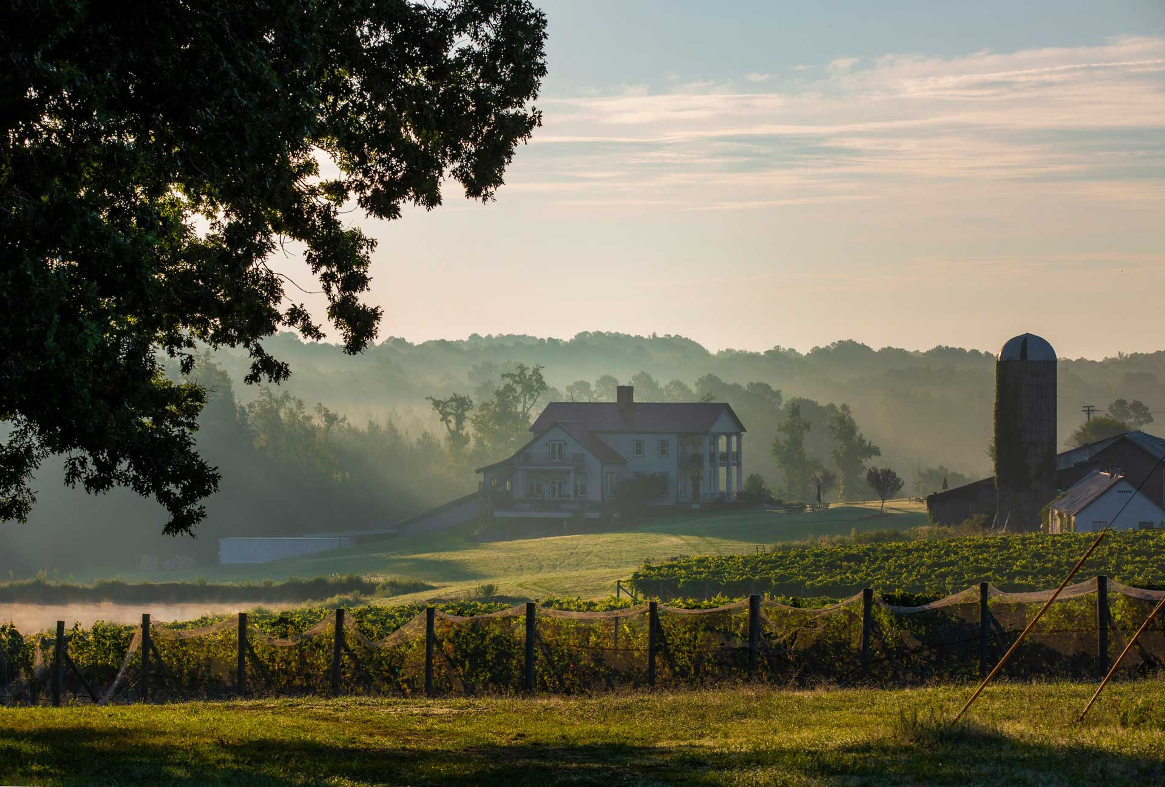 Featured photo from Rosemont Vineyards and Winery