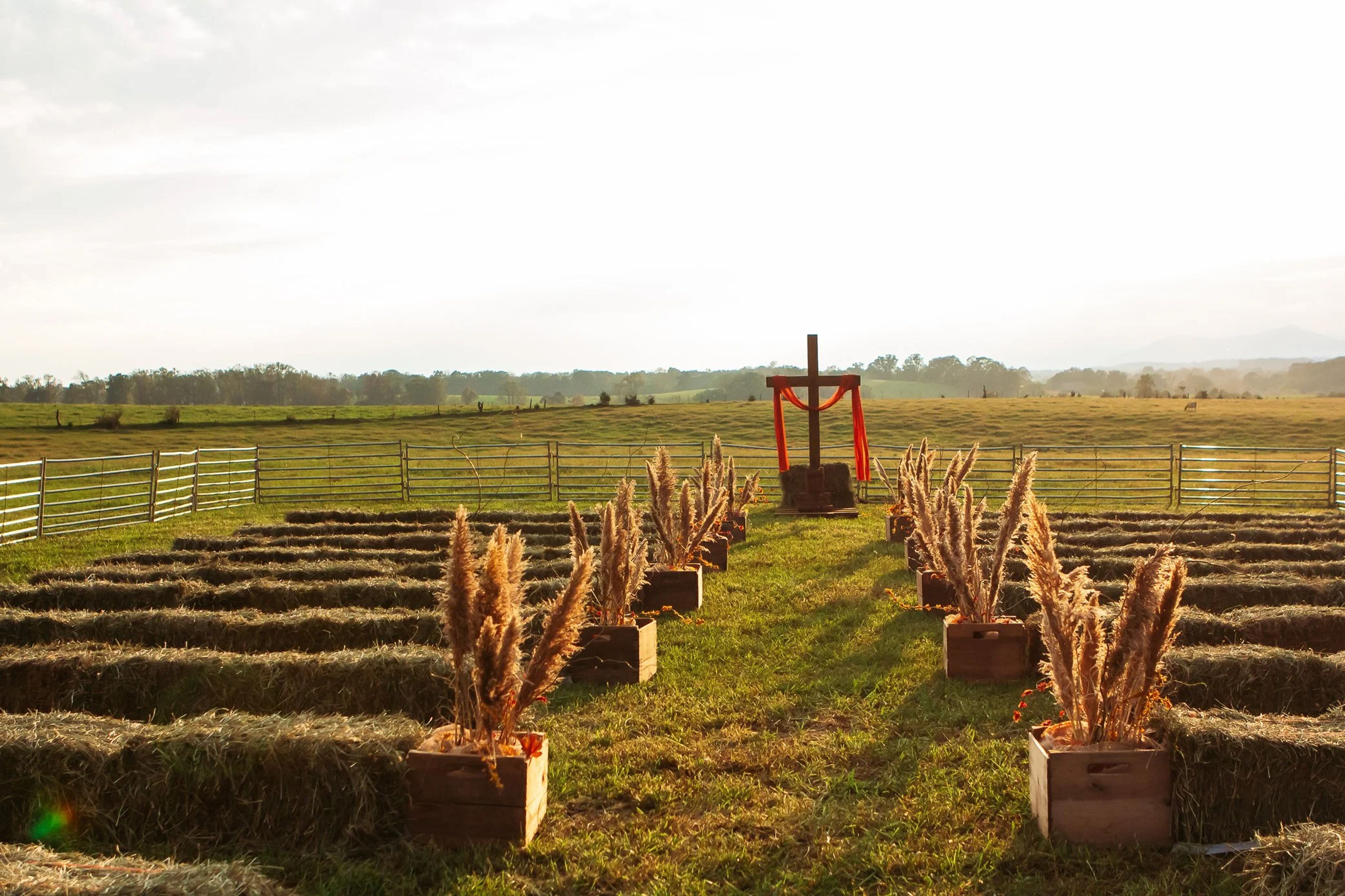 Featured photo from Spring Valley Farm