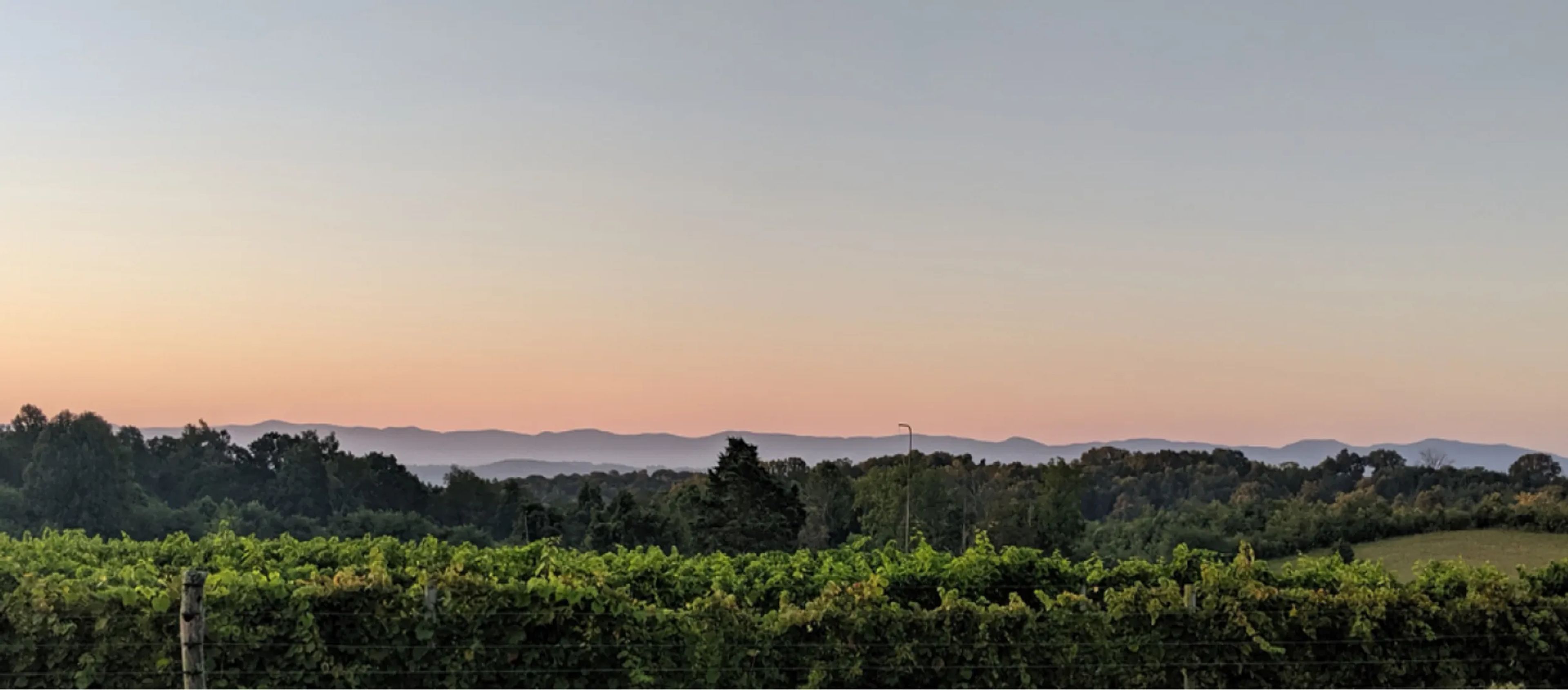 Featured photo from Virginia Mountain Vineyards