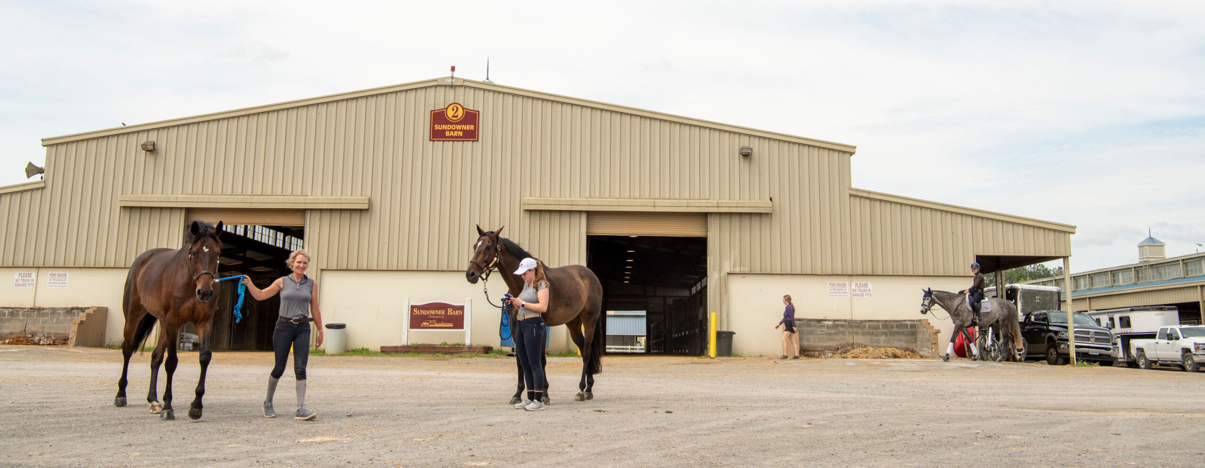 Featured photo from Virginia Horse Center Foundation