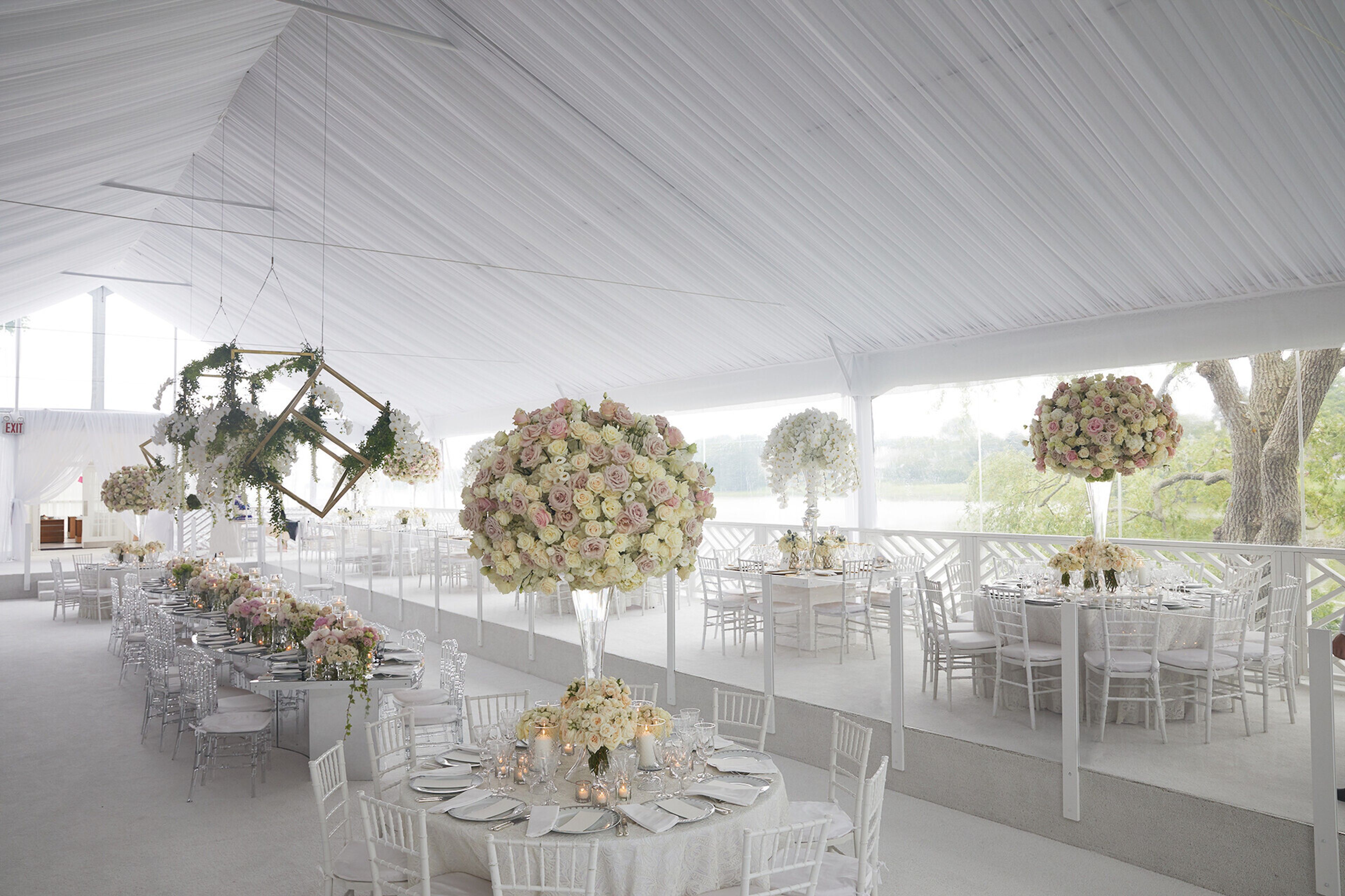 Cover photo of Van Vliet & Trap