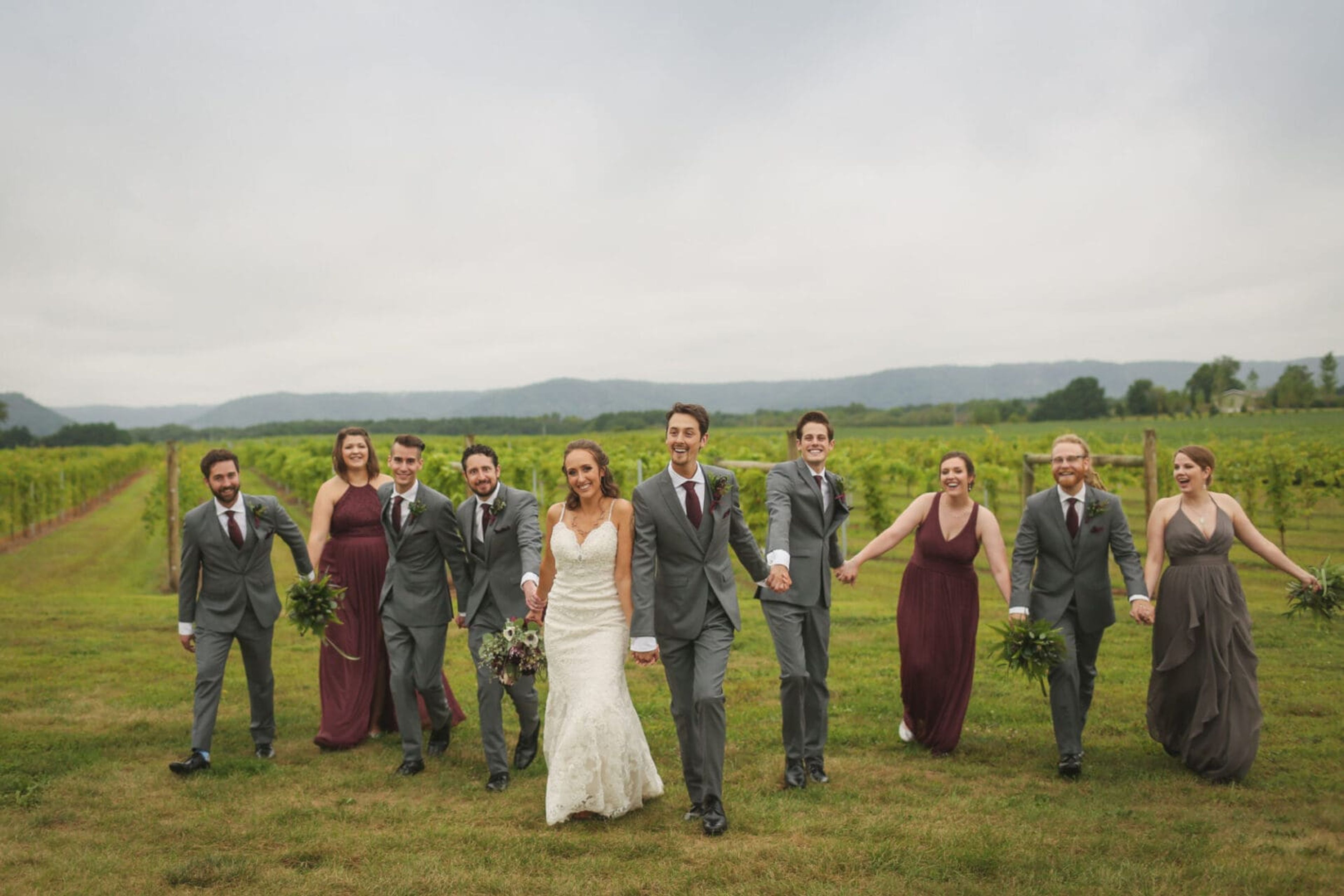 Featured photo from Elmaro Vineyard