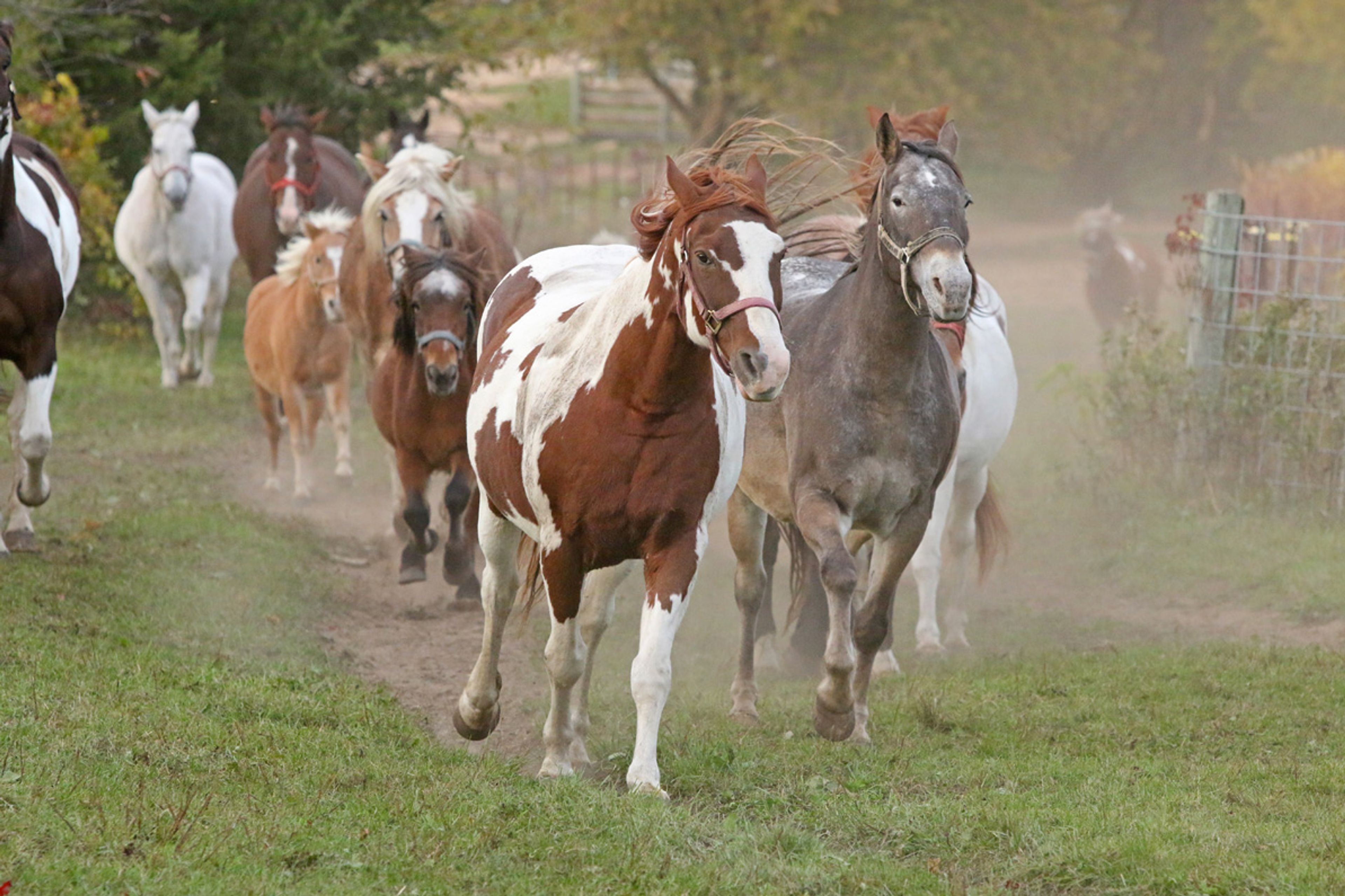 Featured photo from Woodside Ranch