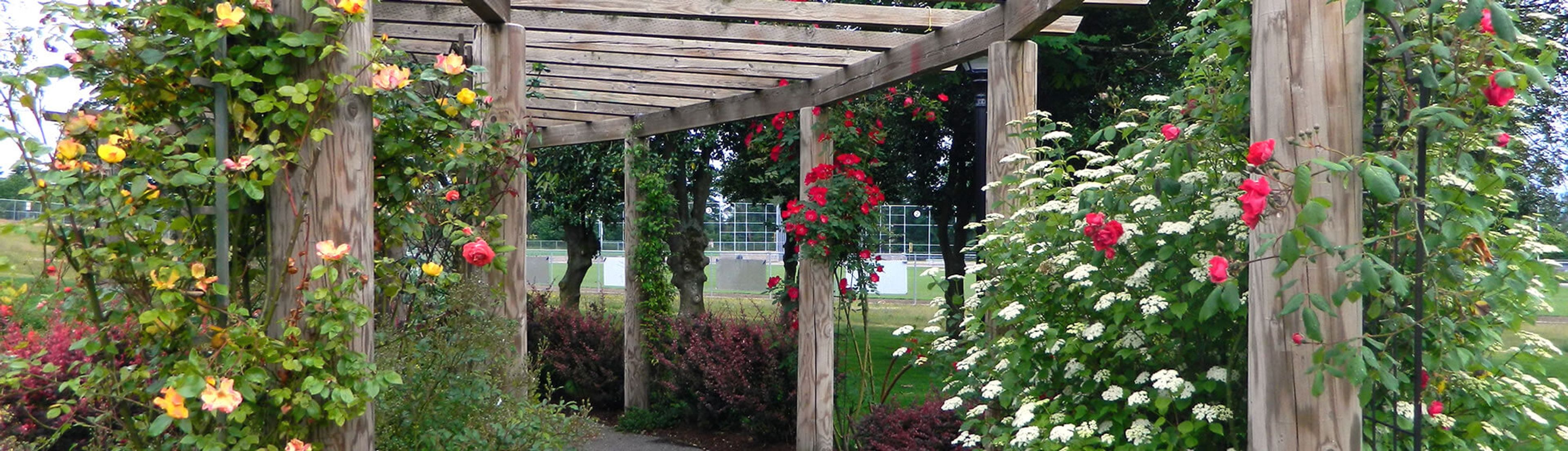 Cover photo of Des Moines Activity Center